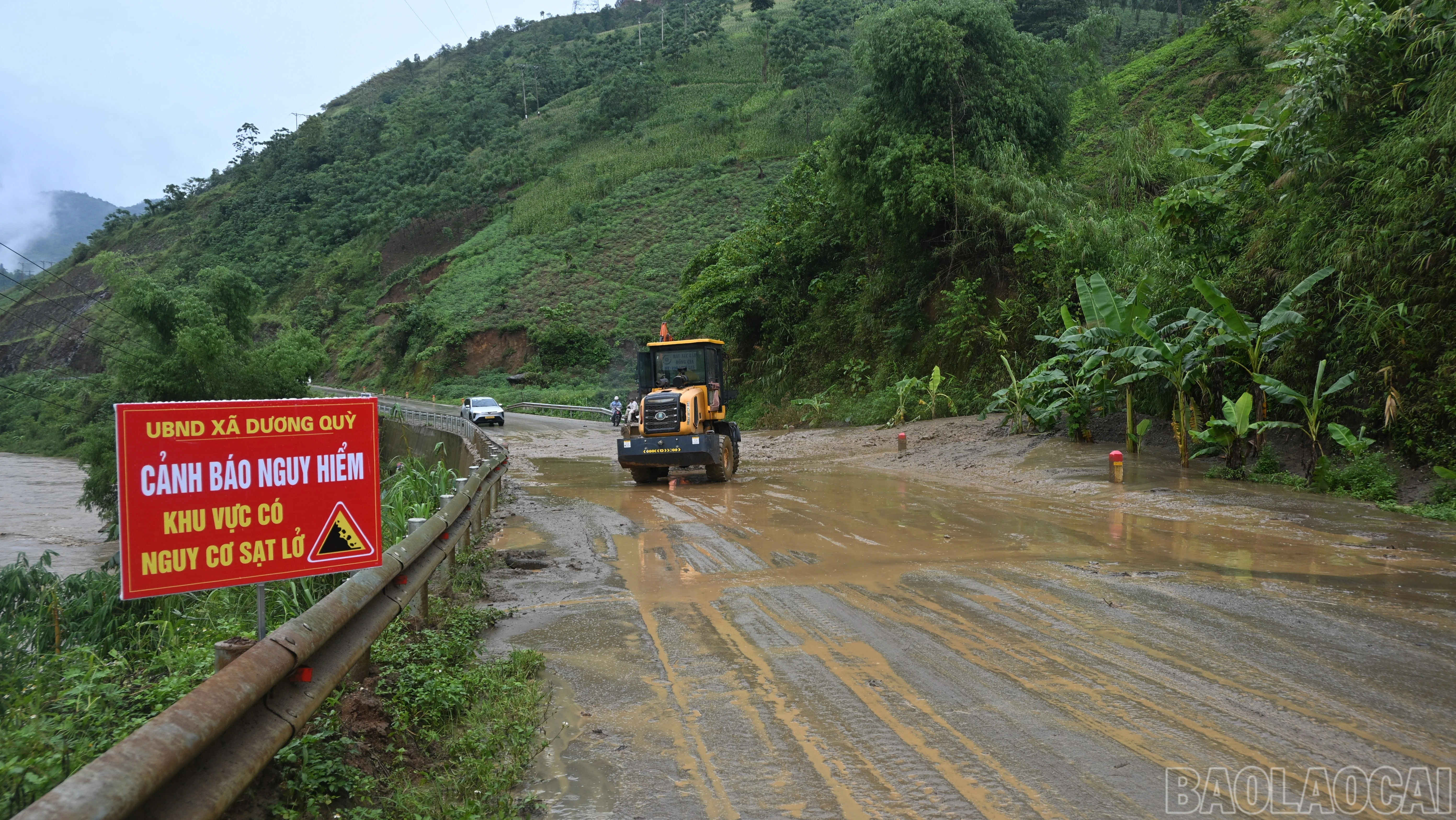 baolaocai-br_anh1-1326.jpg