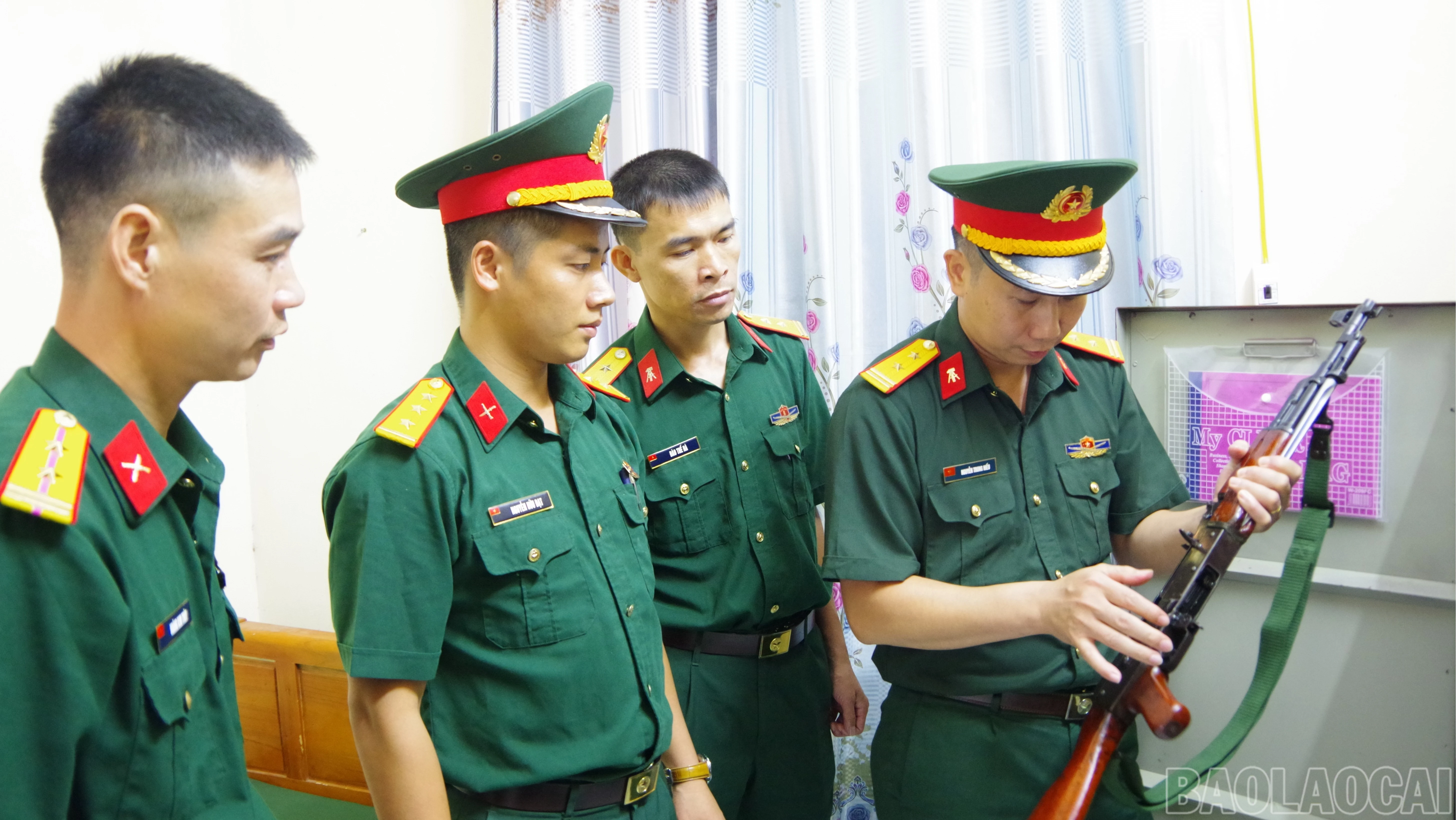 baolaocai-br-a6.jpg