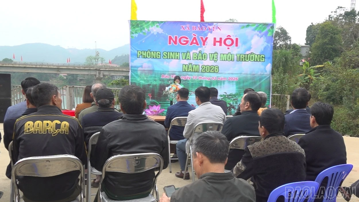 baolaocai-br_anh-2-9484.jpg