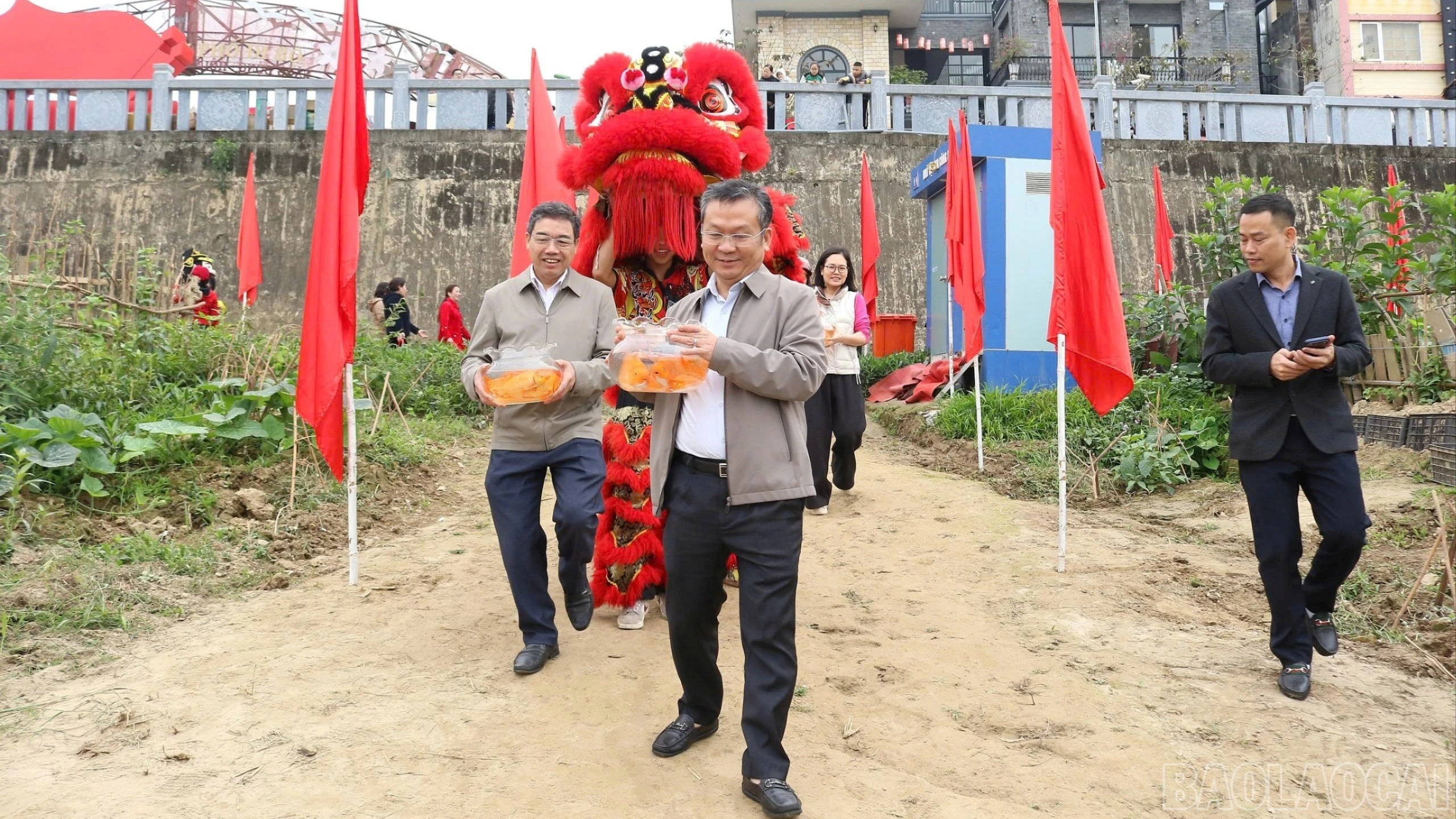 baolaocai-br_thaca-1166.jpg