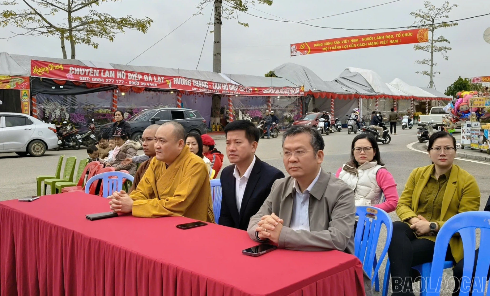 baolaocai-br-daibieulc-1.jpg