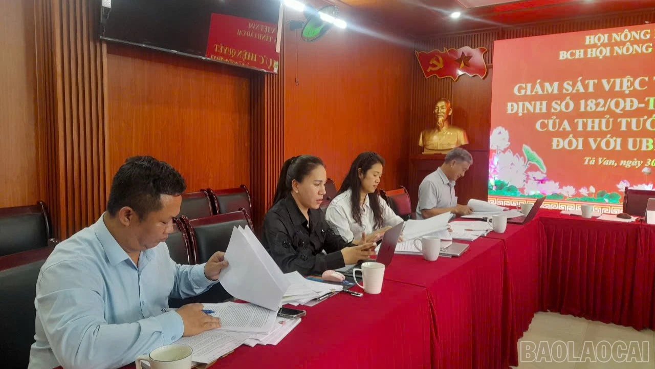 baolaocai-br_ktra-4955.jpg
