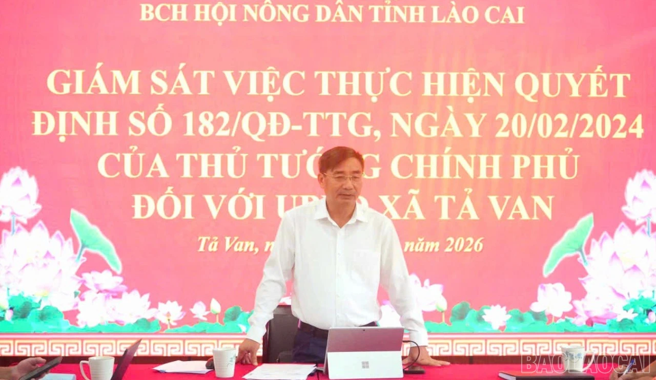 baolaocai-br_dcphat-8025.jpg
