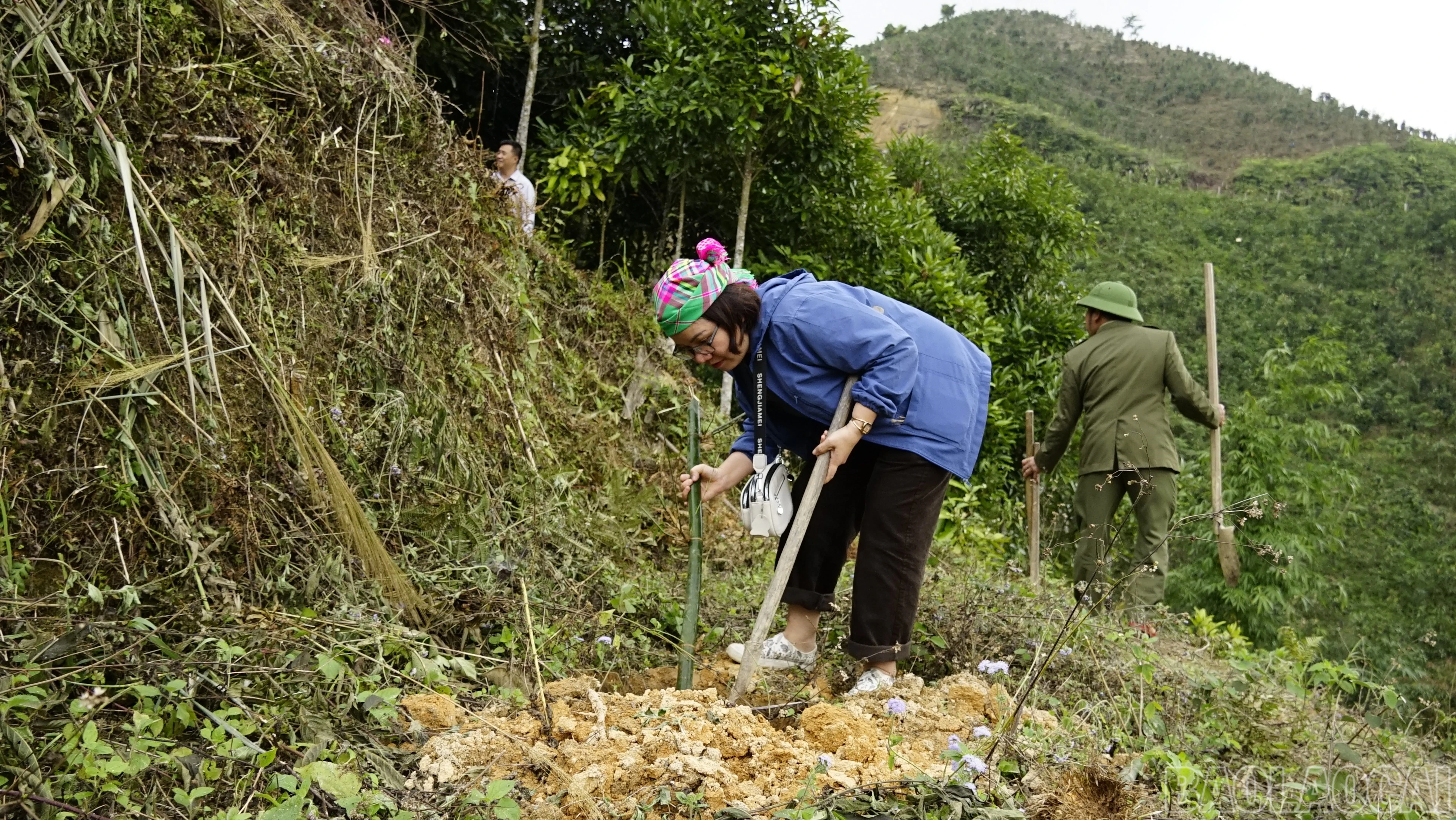 baolaocai-br_dsc6514.jpg