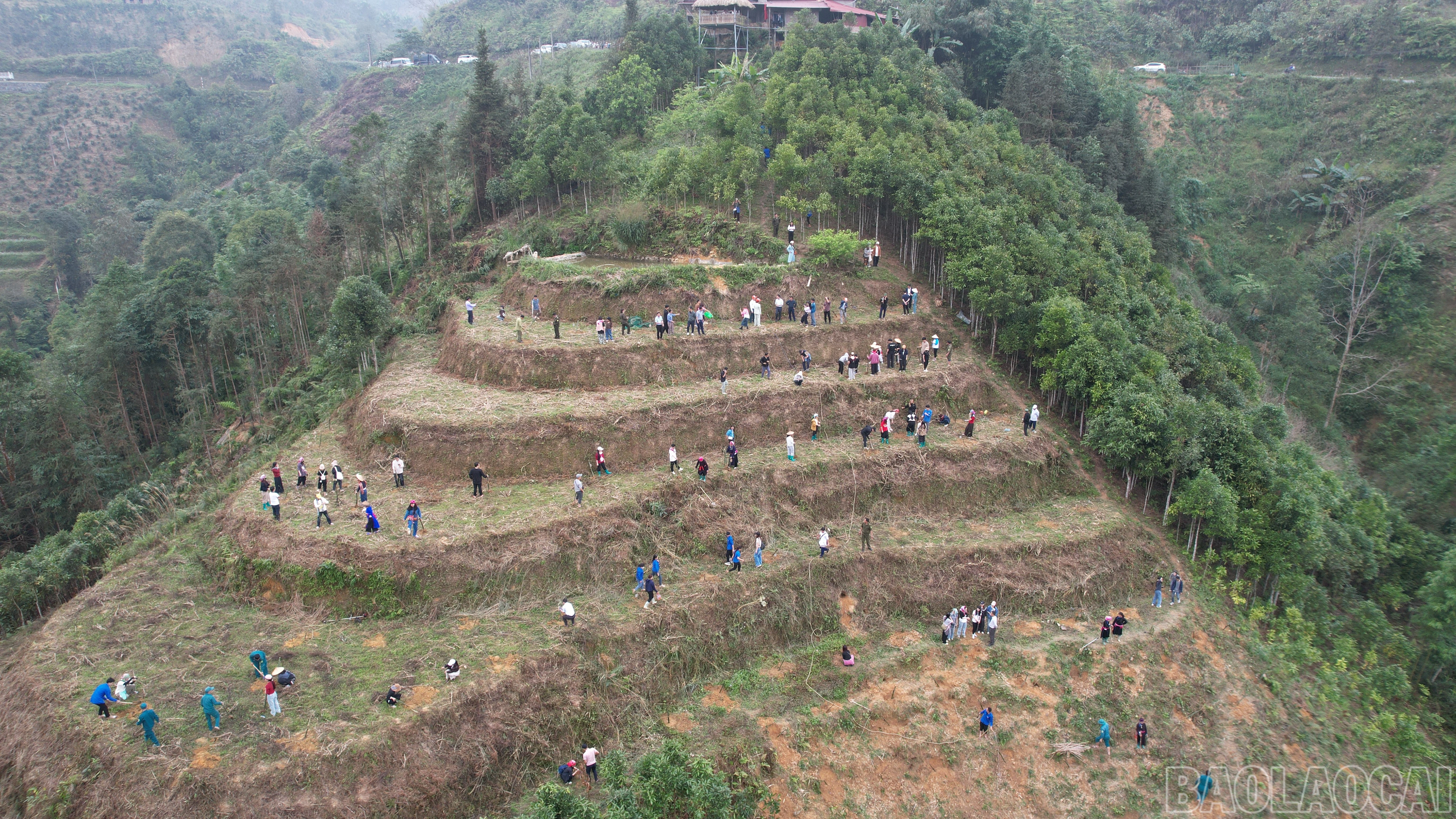 baolaocai-br_dji-0723.jpg