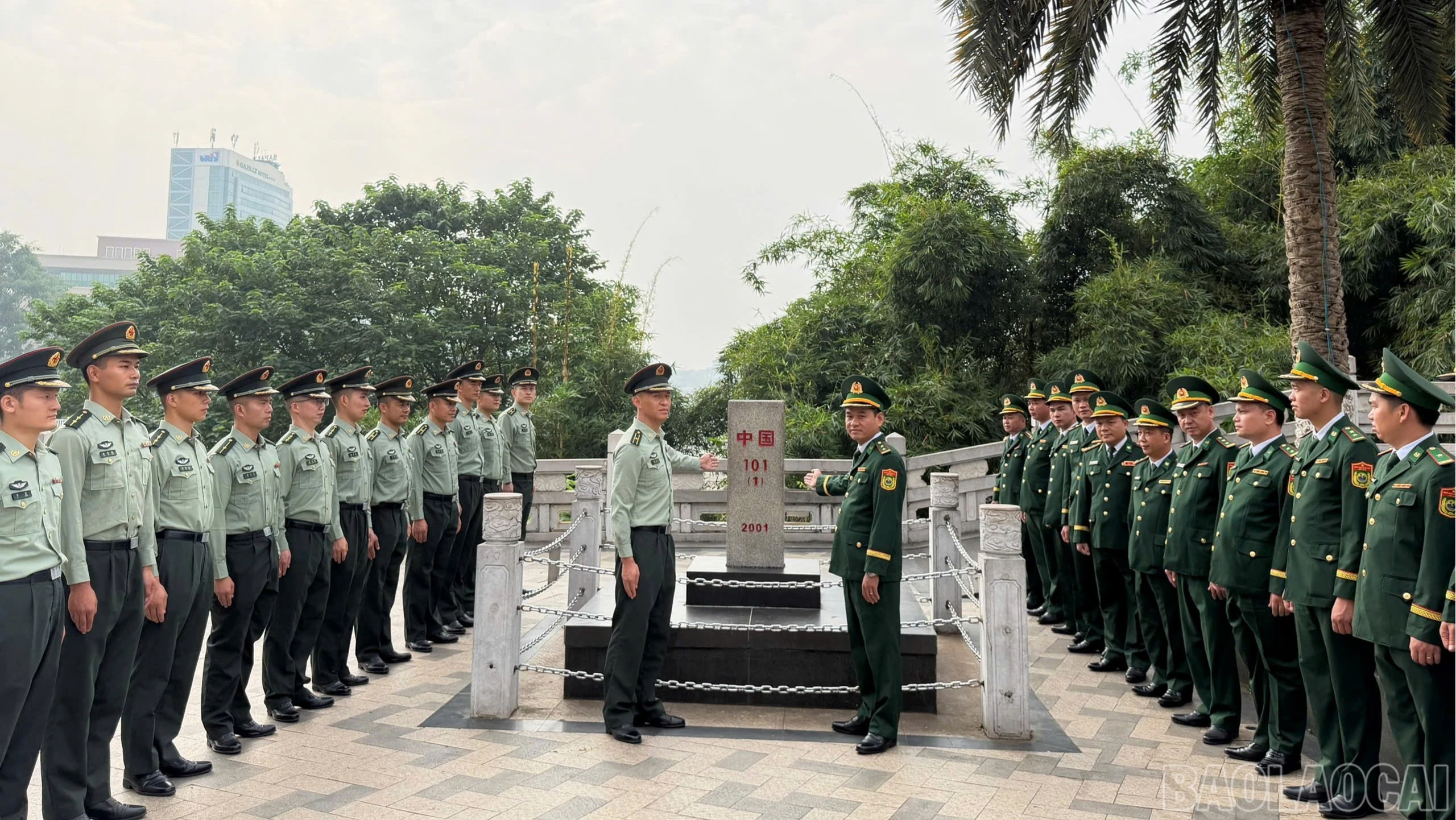 baolaocai-br_2-1-5204.jpg