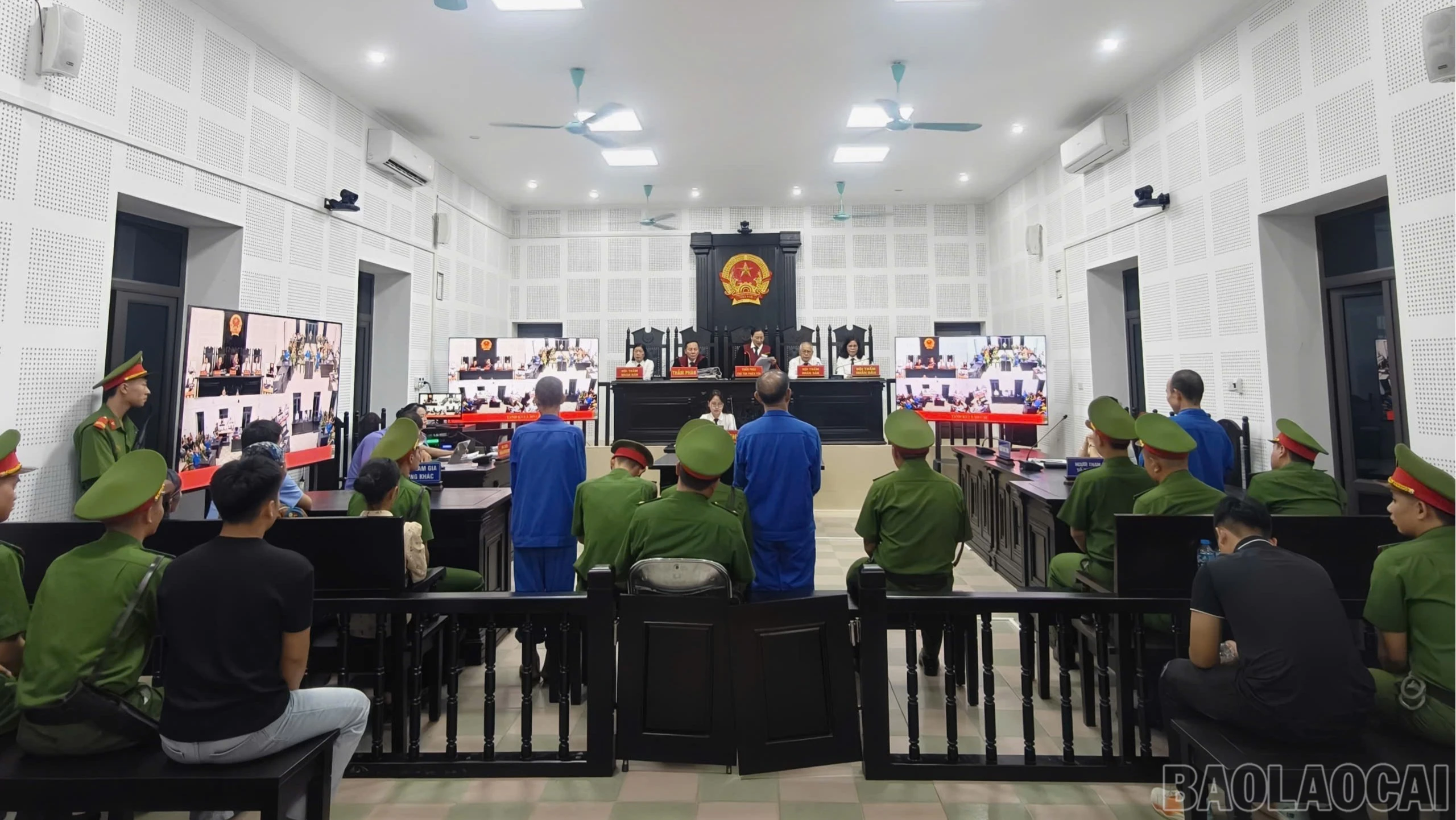 baolaocai-br_tuyenan-1110.jpg