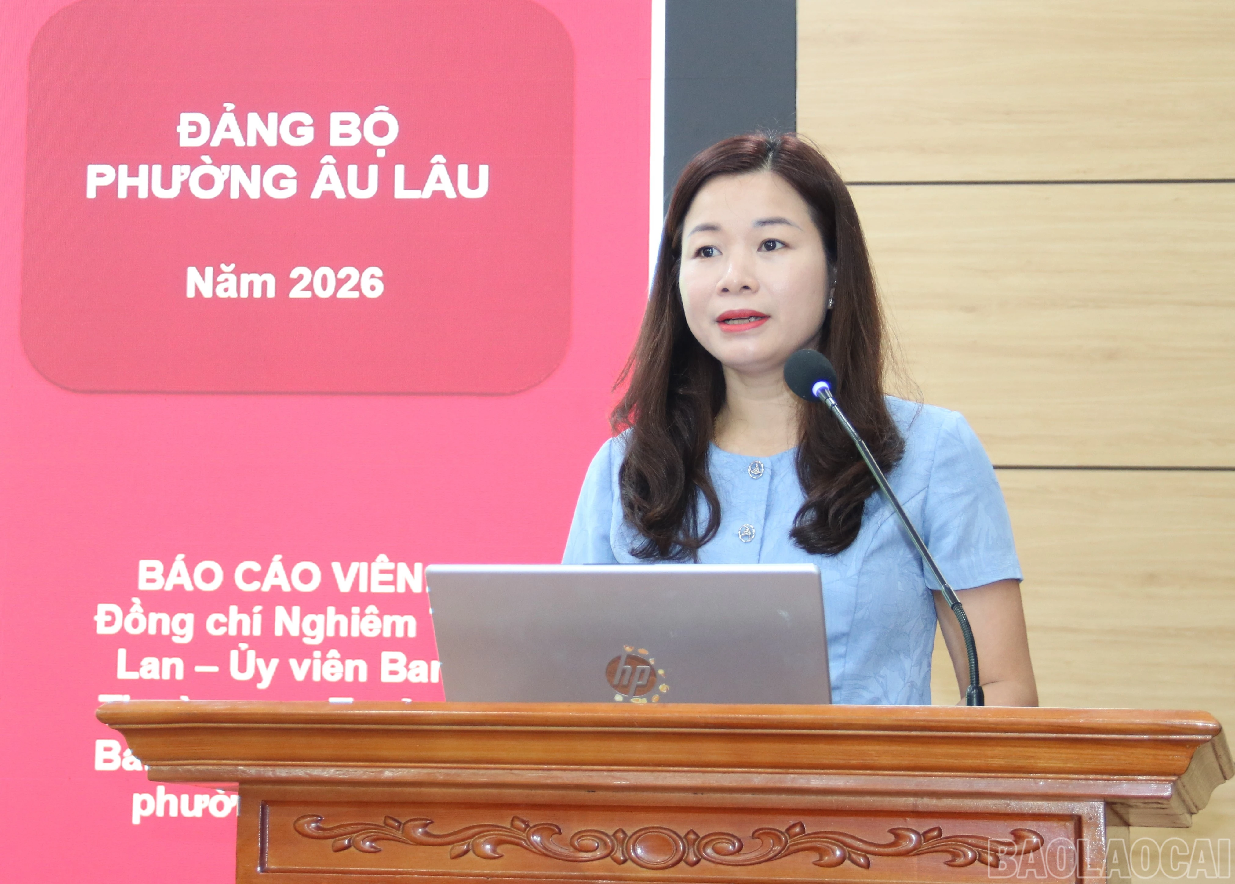 baolaocai-br_daibieual-1.jpg