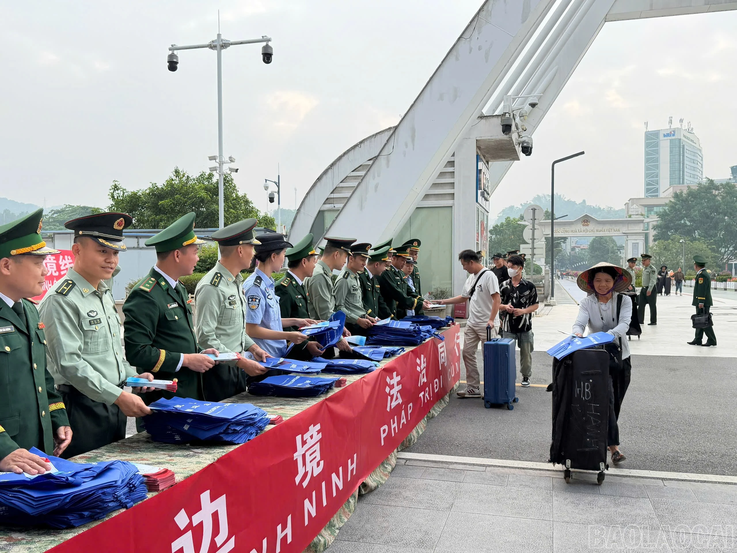 baolaocai-br_3.jpg