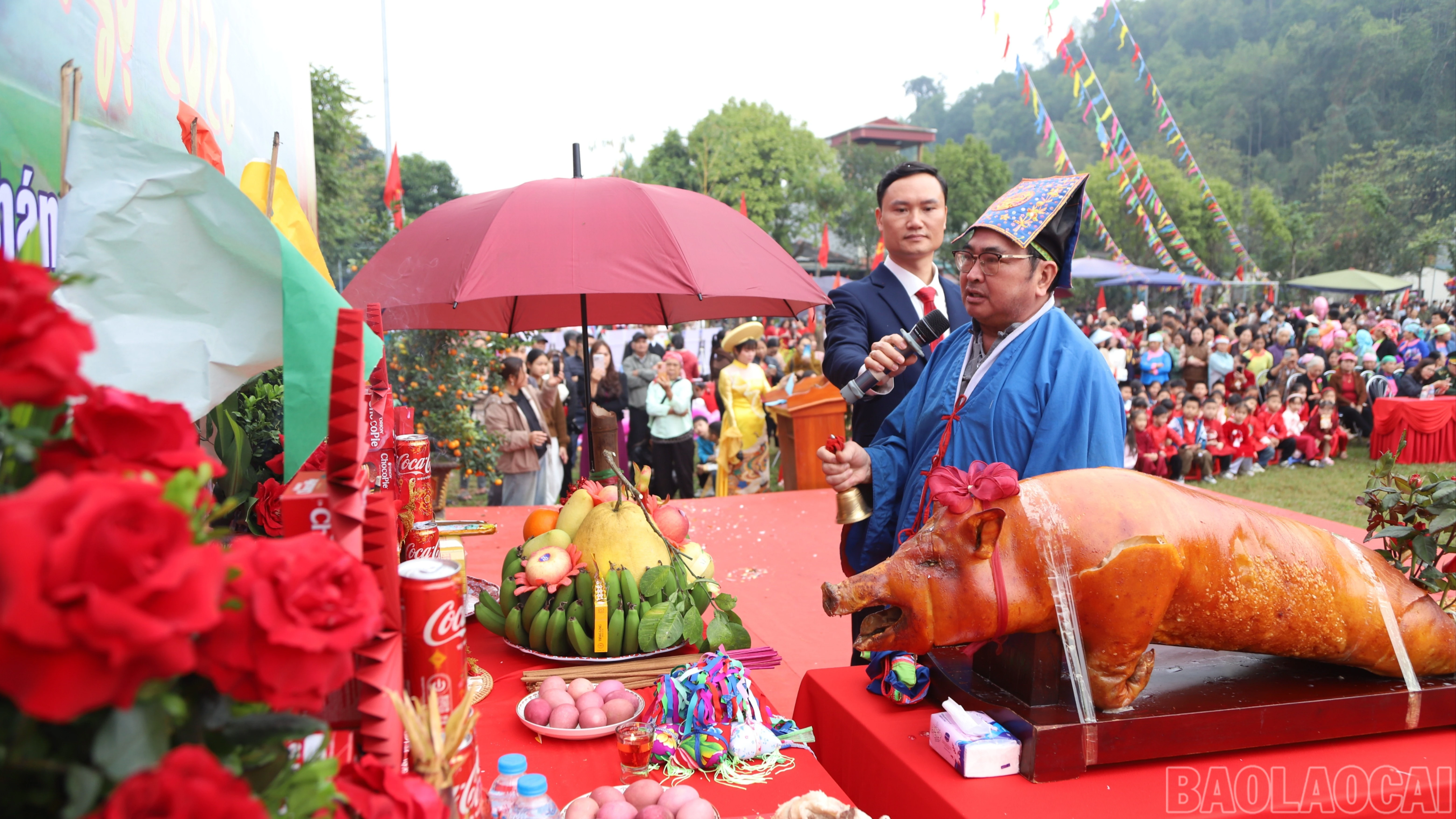 baolaocai-br_4-6383.jpg