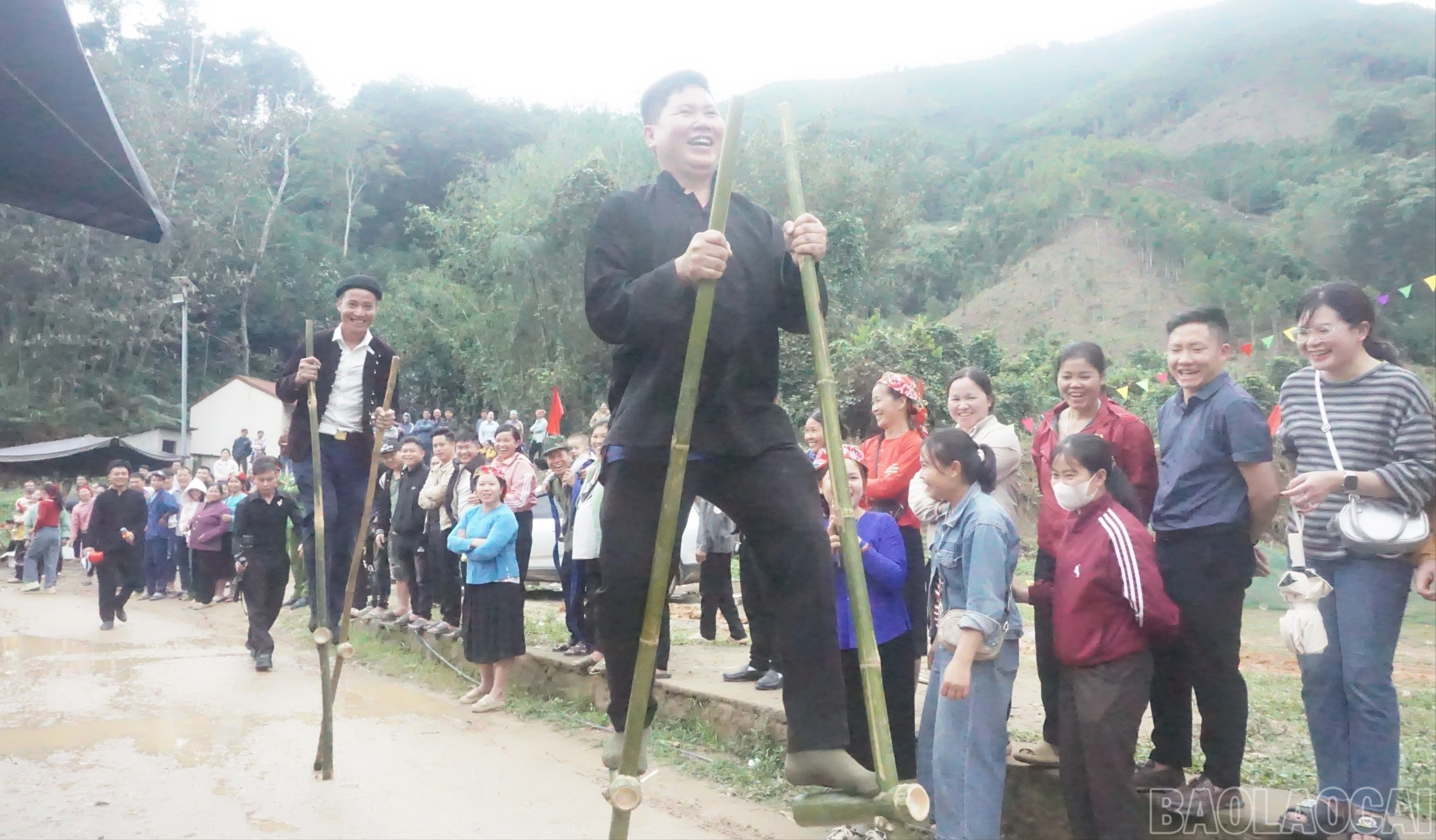 baolaocai-br_dsc06237-6725.jpg