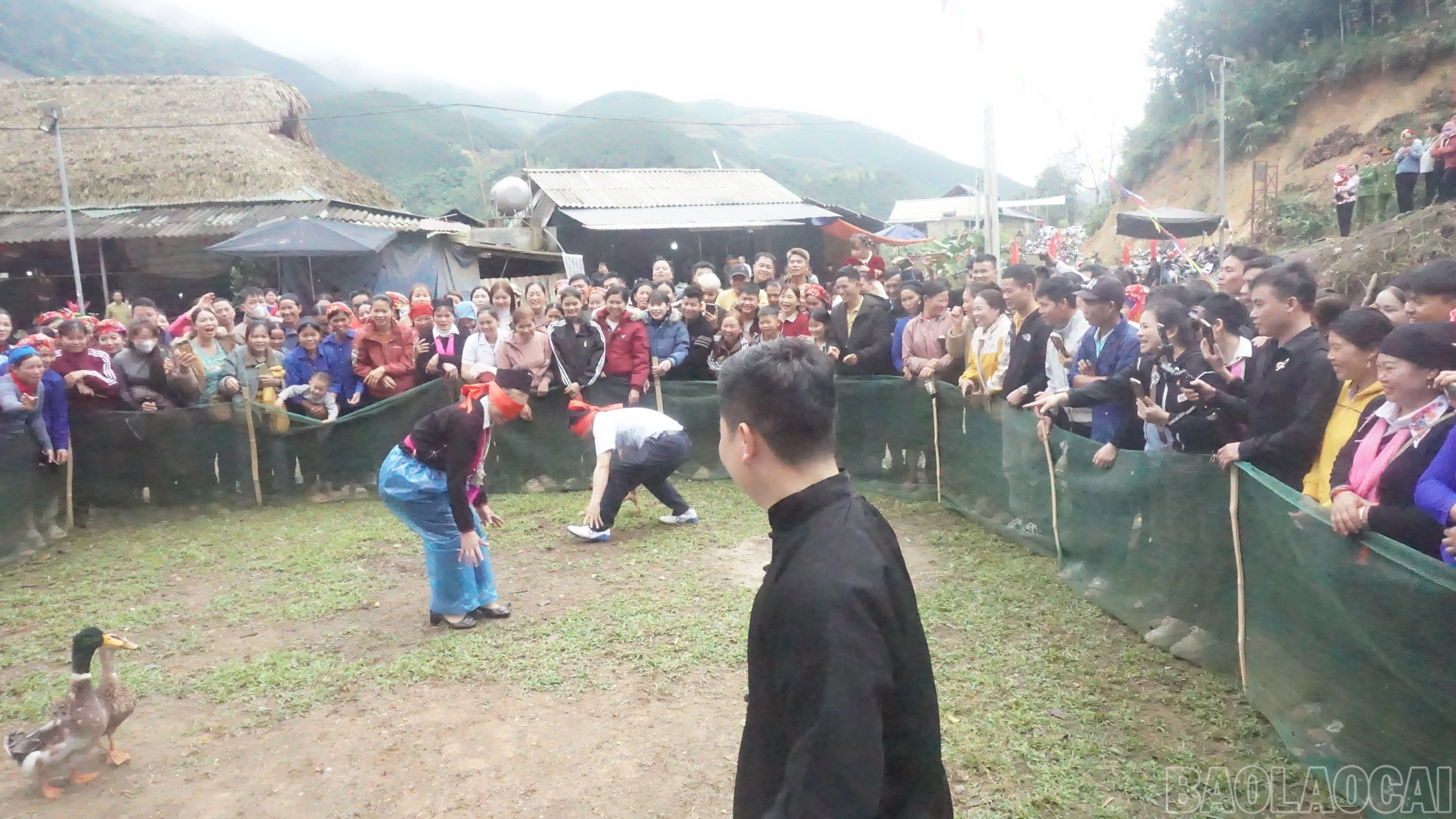 baolaocai-br_dsc06230.jpg
