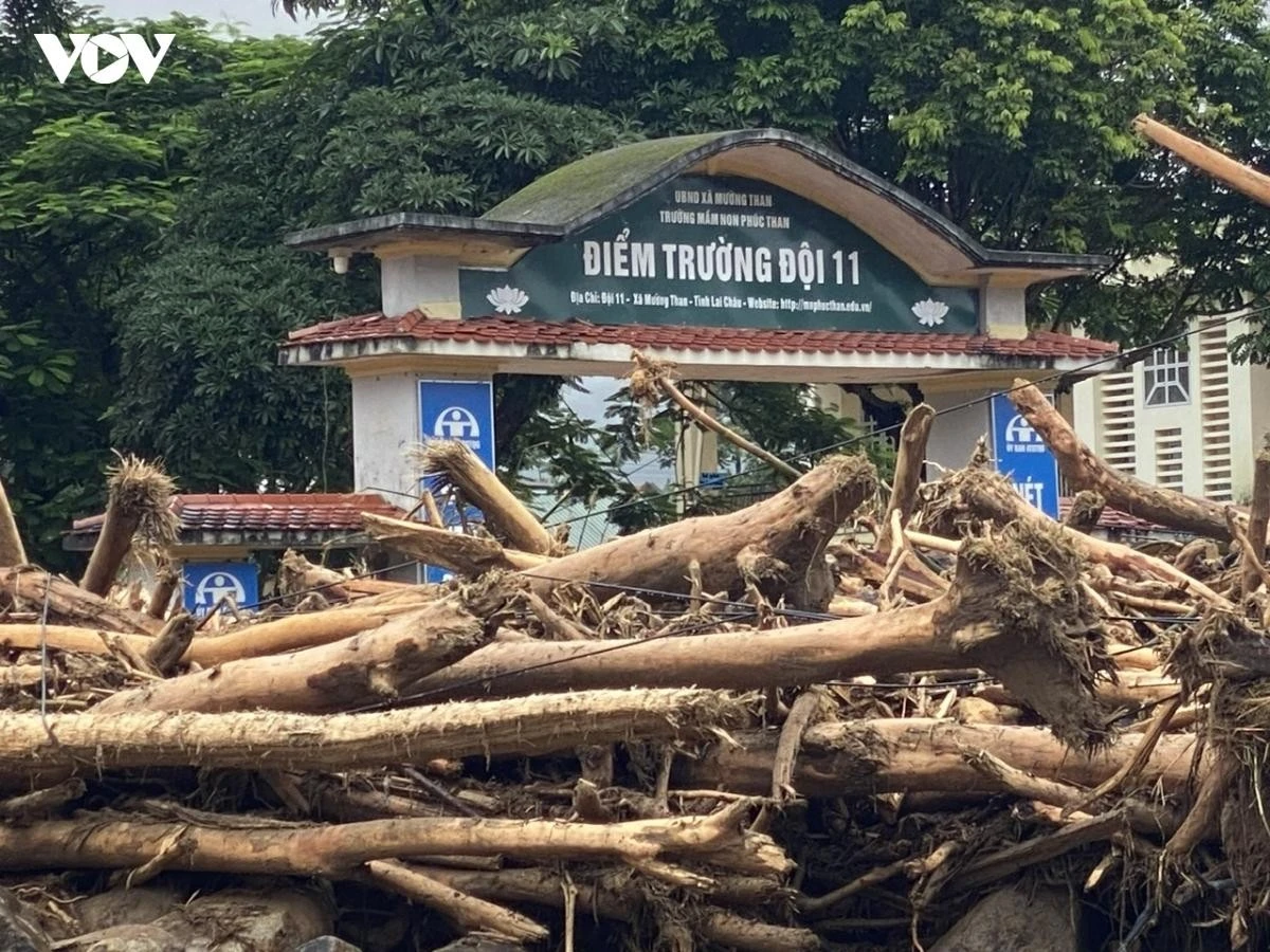 Lũ quét qua và để lại ngổn ngang cây cối, bùn đất.