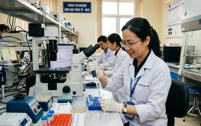 Chuyên gia, nhà khoa học đầu ngành là một trong những đối tượng được đề xuất ký hợp đồng trong đơn vị sự nghiệp công lập.