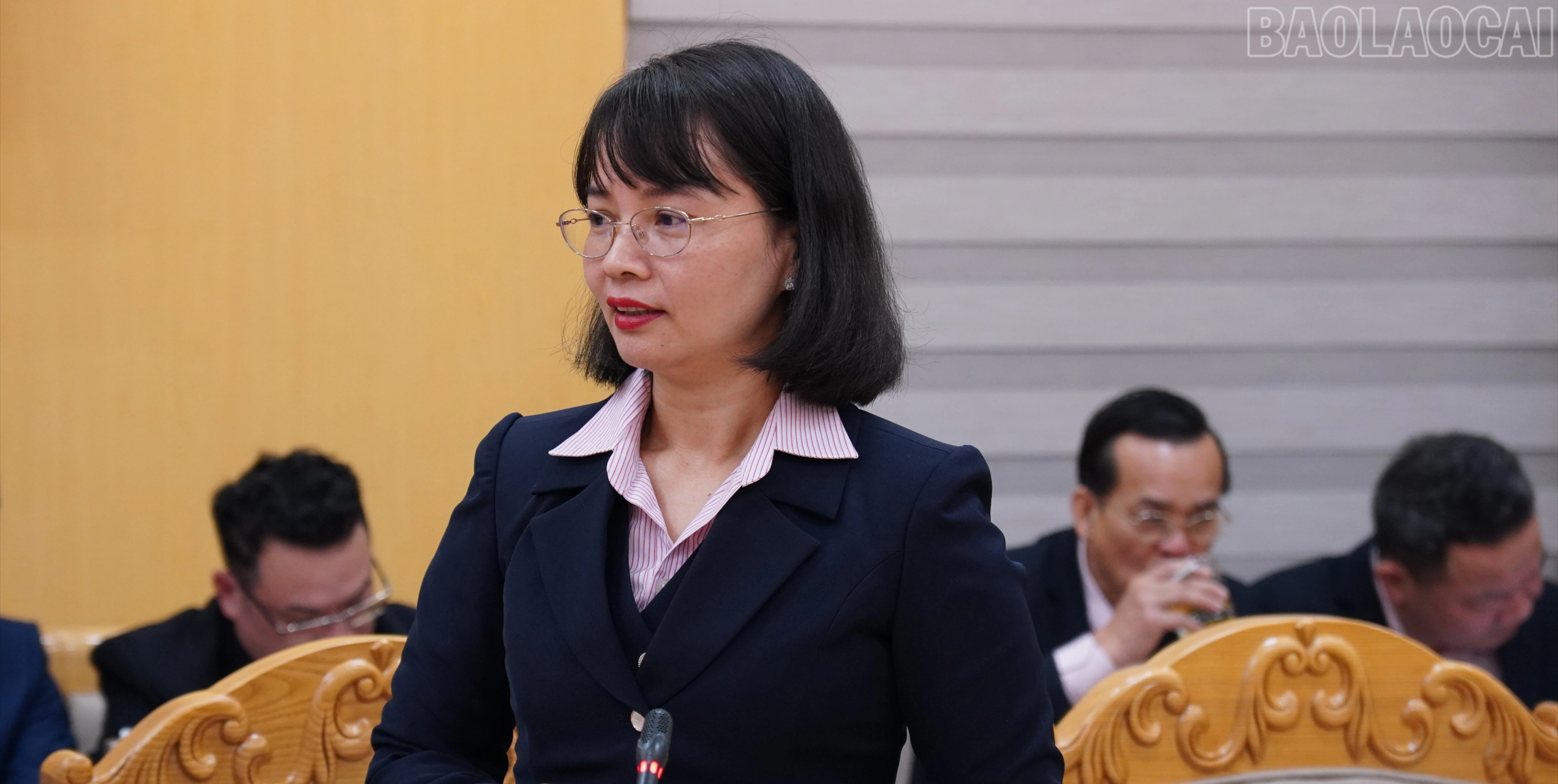 baolaocai-tr_fpt04027.jpg