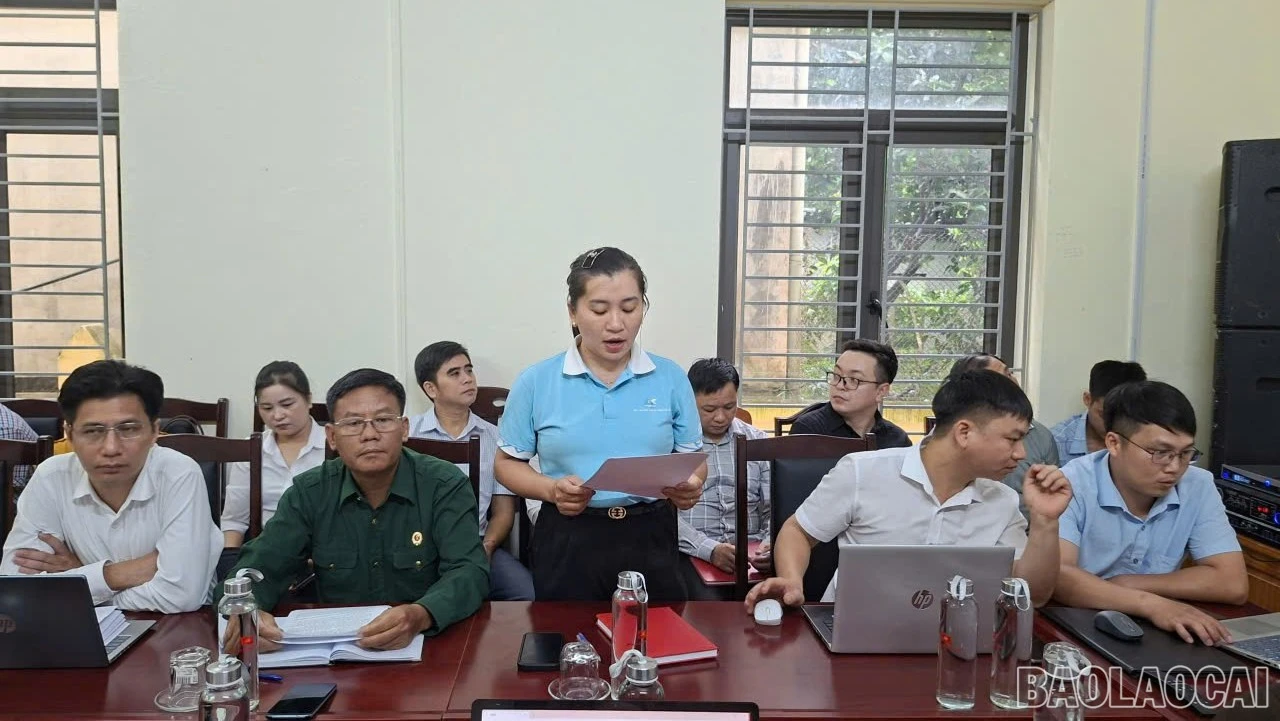 baolaocai-br-daibieuthamluan-1.jpg