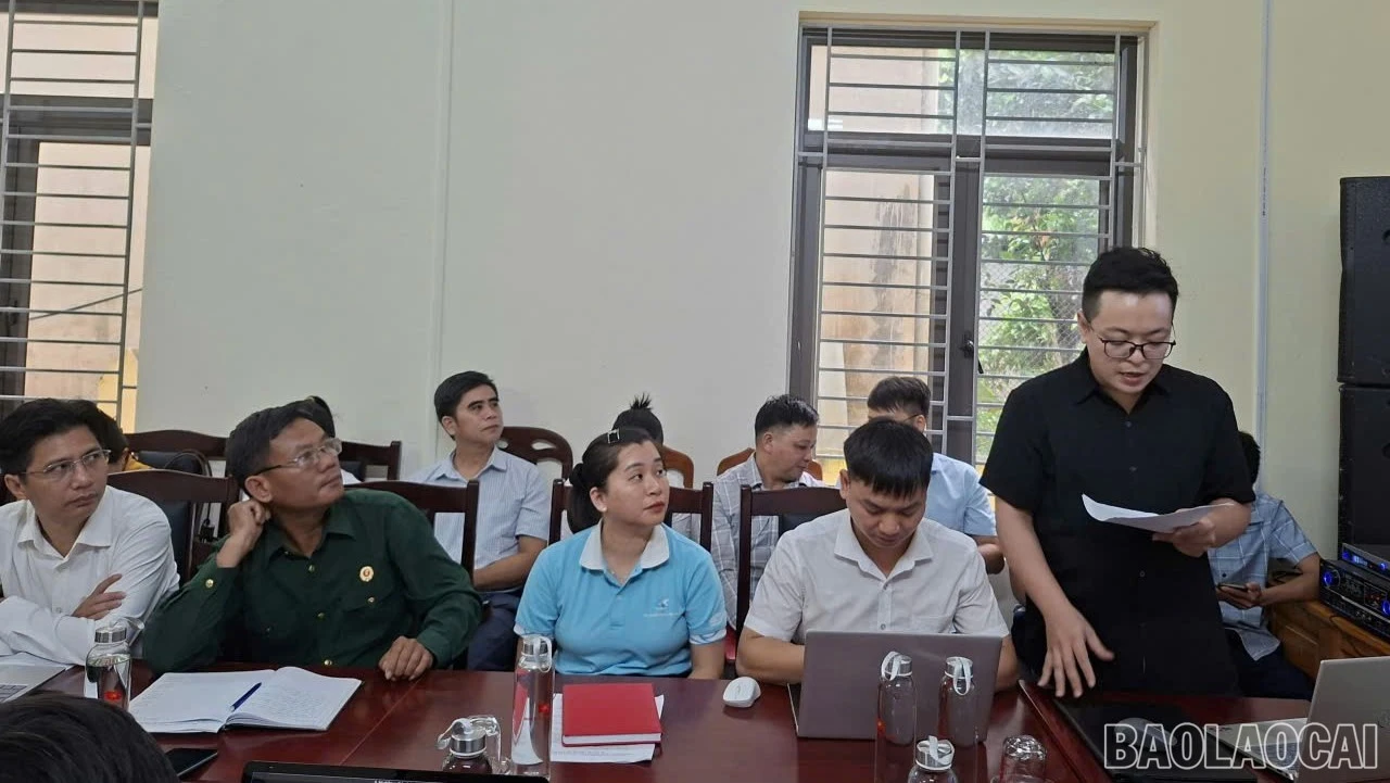 baolaocai-br-daibieuthamluan-2.jpg