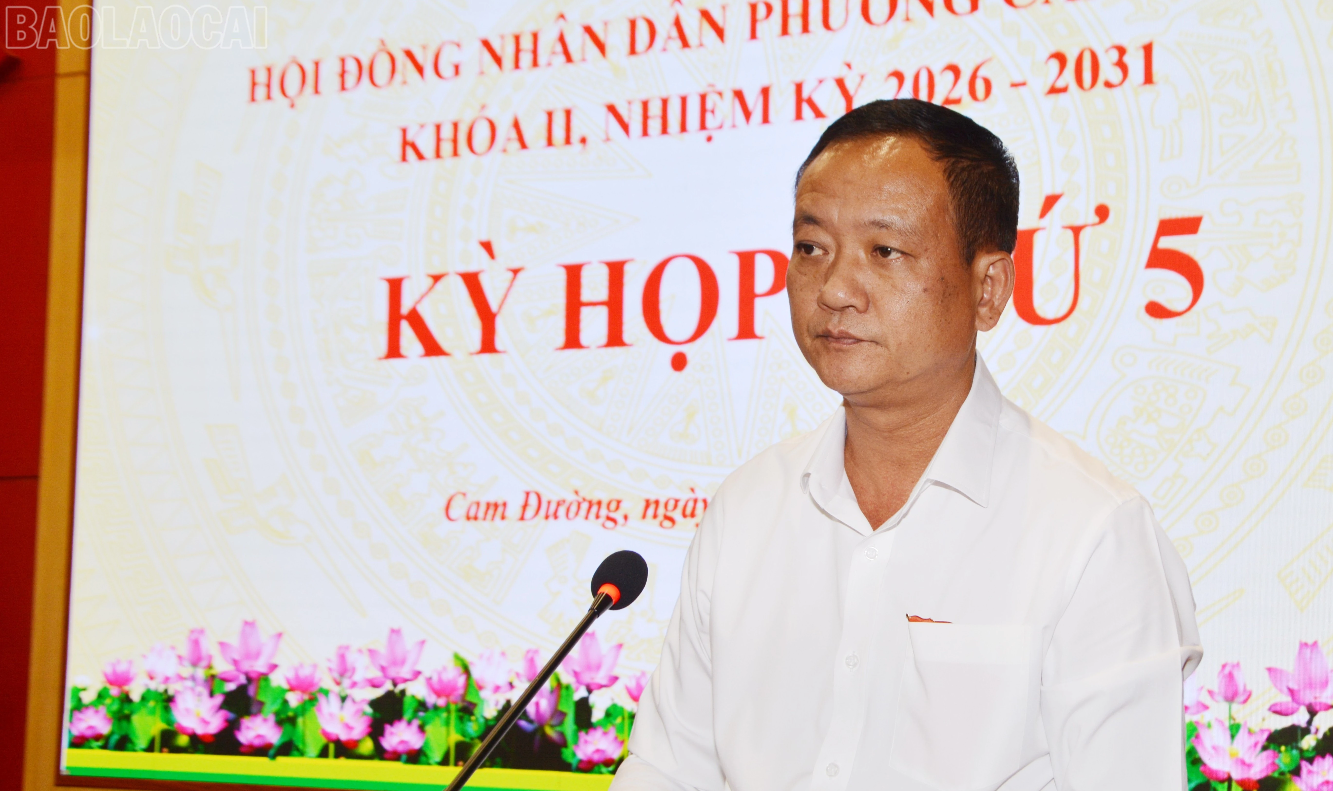 baolaocai-tl_tl-dsc-3922.jpg