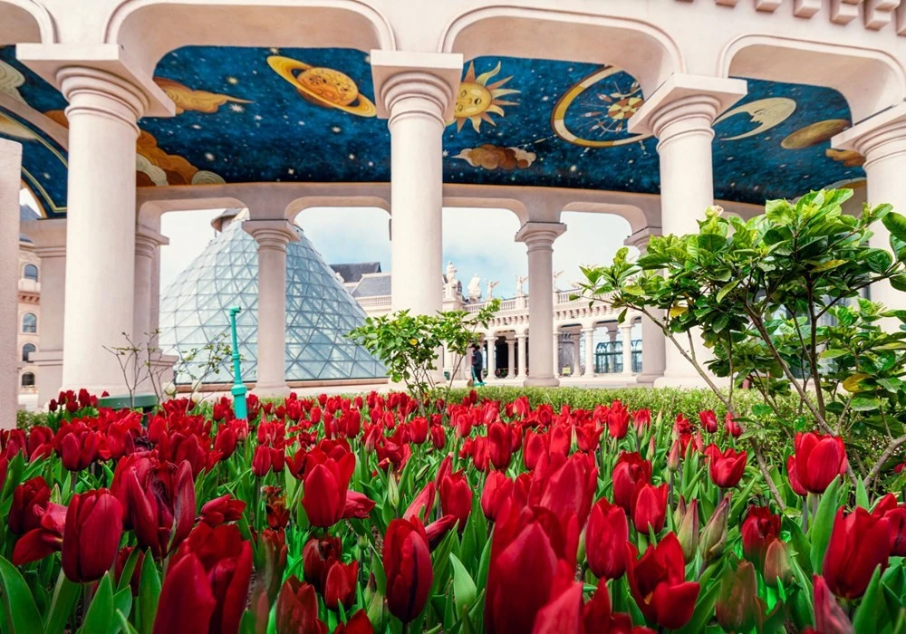 Sun World Ba Na Hills còn làm say đắm du khách với những tòa lâu đài tráng lệ và những lễ hội hoa theo mùa.