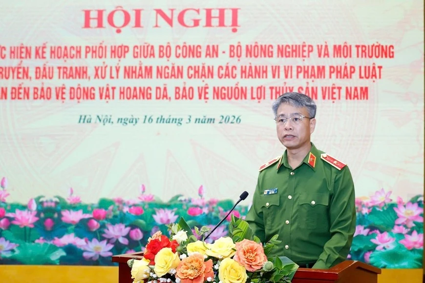 thieutuong.jpg
