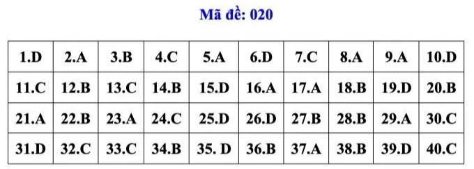 dapan018-4154.jpg