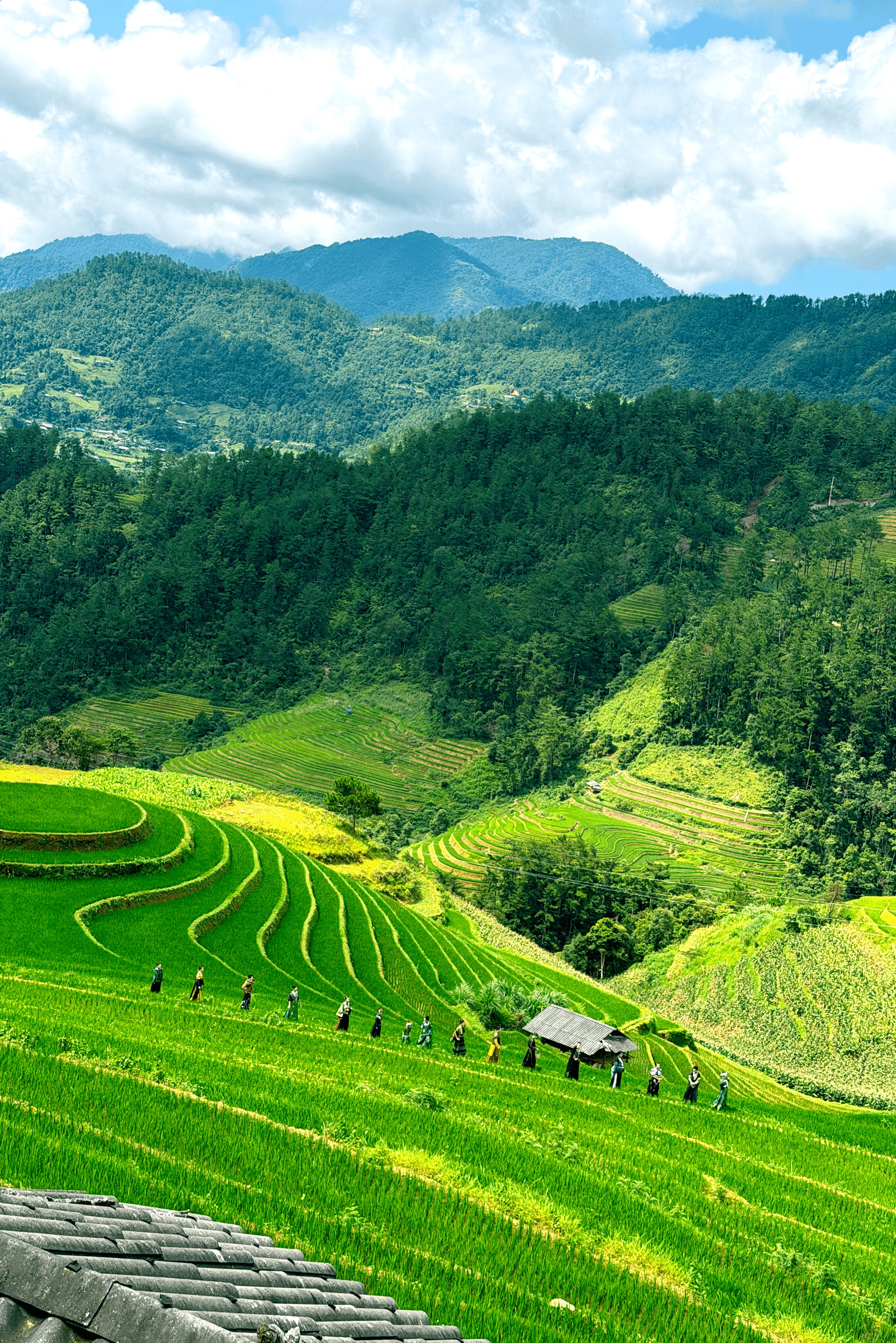 Cao Minh Tiến tạo ấn tượng khi ra mắt bộ sưu tập mới trên những triền ruộng bậc thang Mù Cang Chải. Ảnh: Lê Trọng