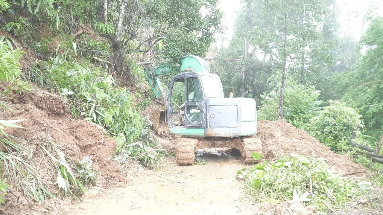 baolaocai-tr_laochai1.jpg