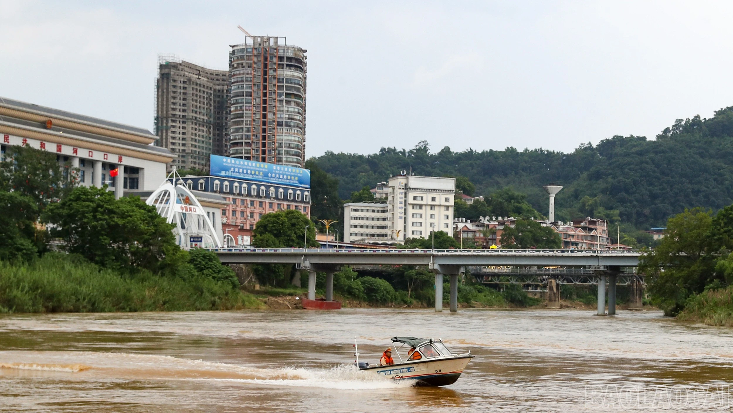 baolaocai-br_ax5i5444.jpg