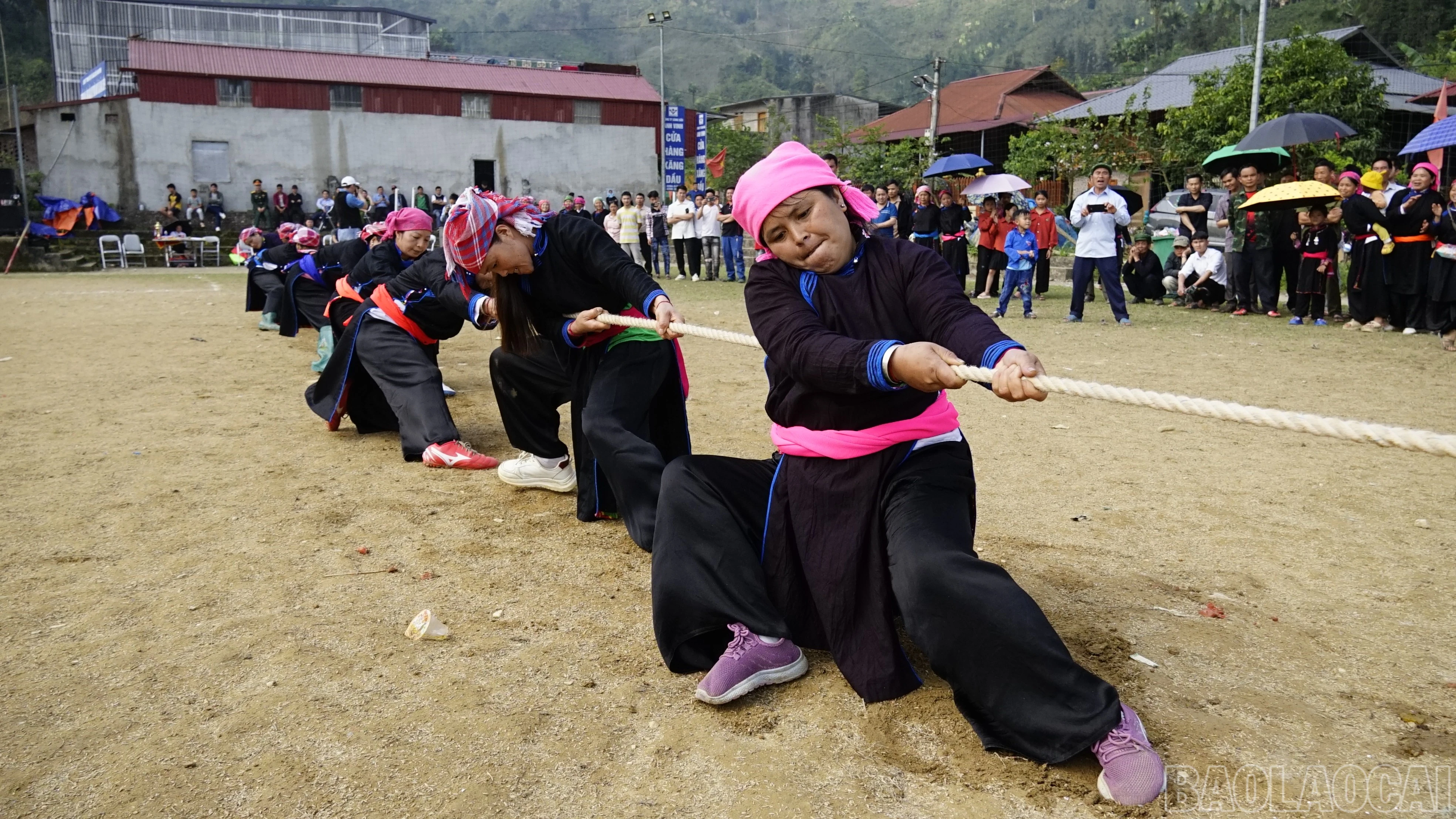 baolaocai-br_dsc6573.jpg