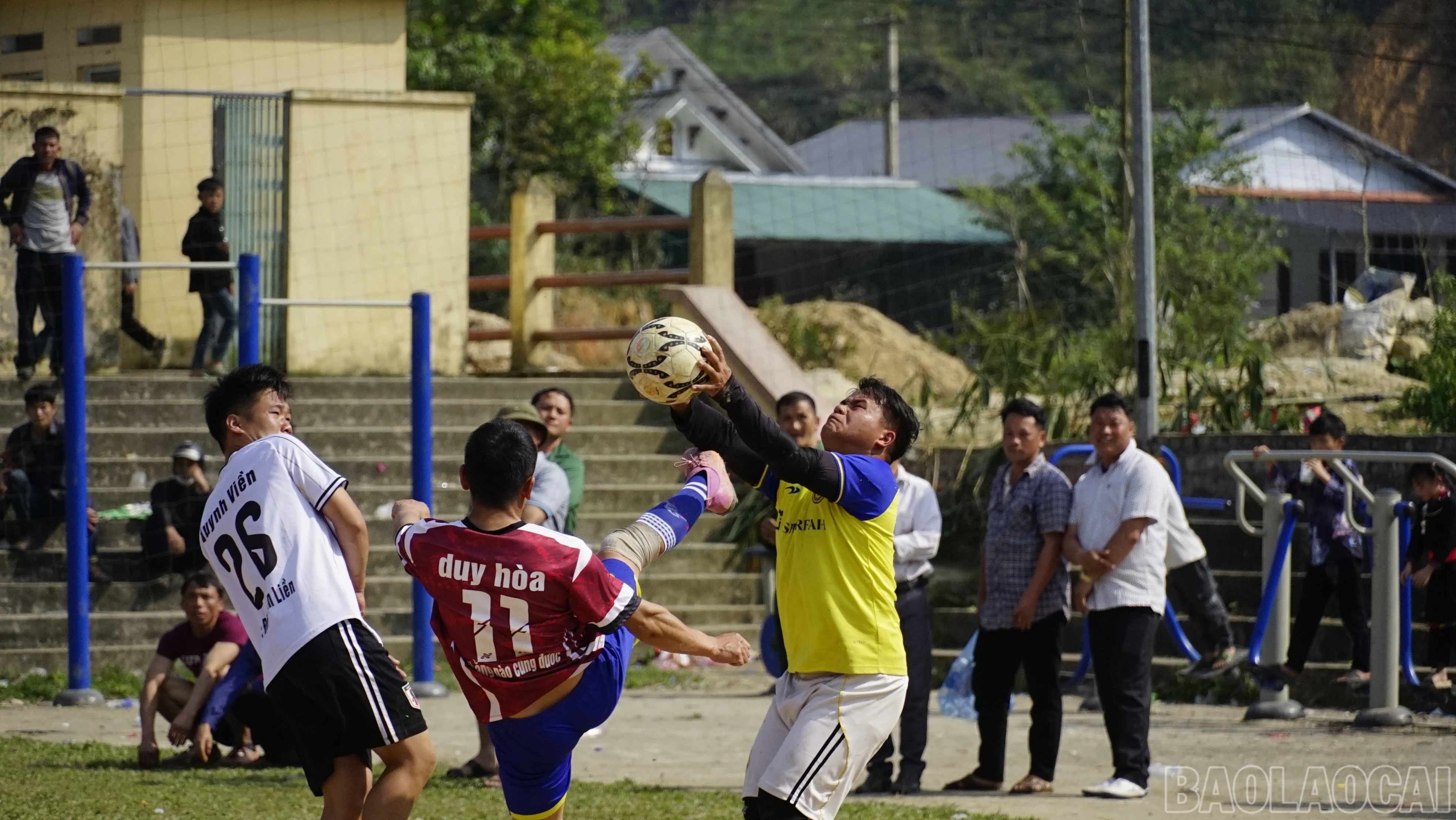 baolaocai-br_dsc6586.jpg