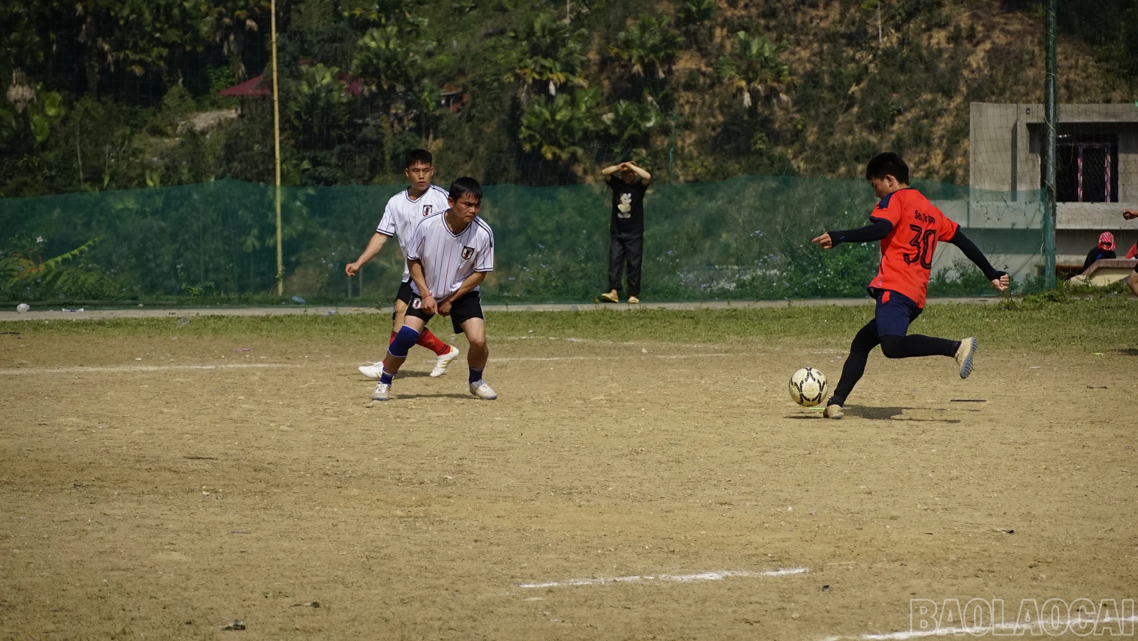 baolaocai-br_dsc6583.jpg