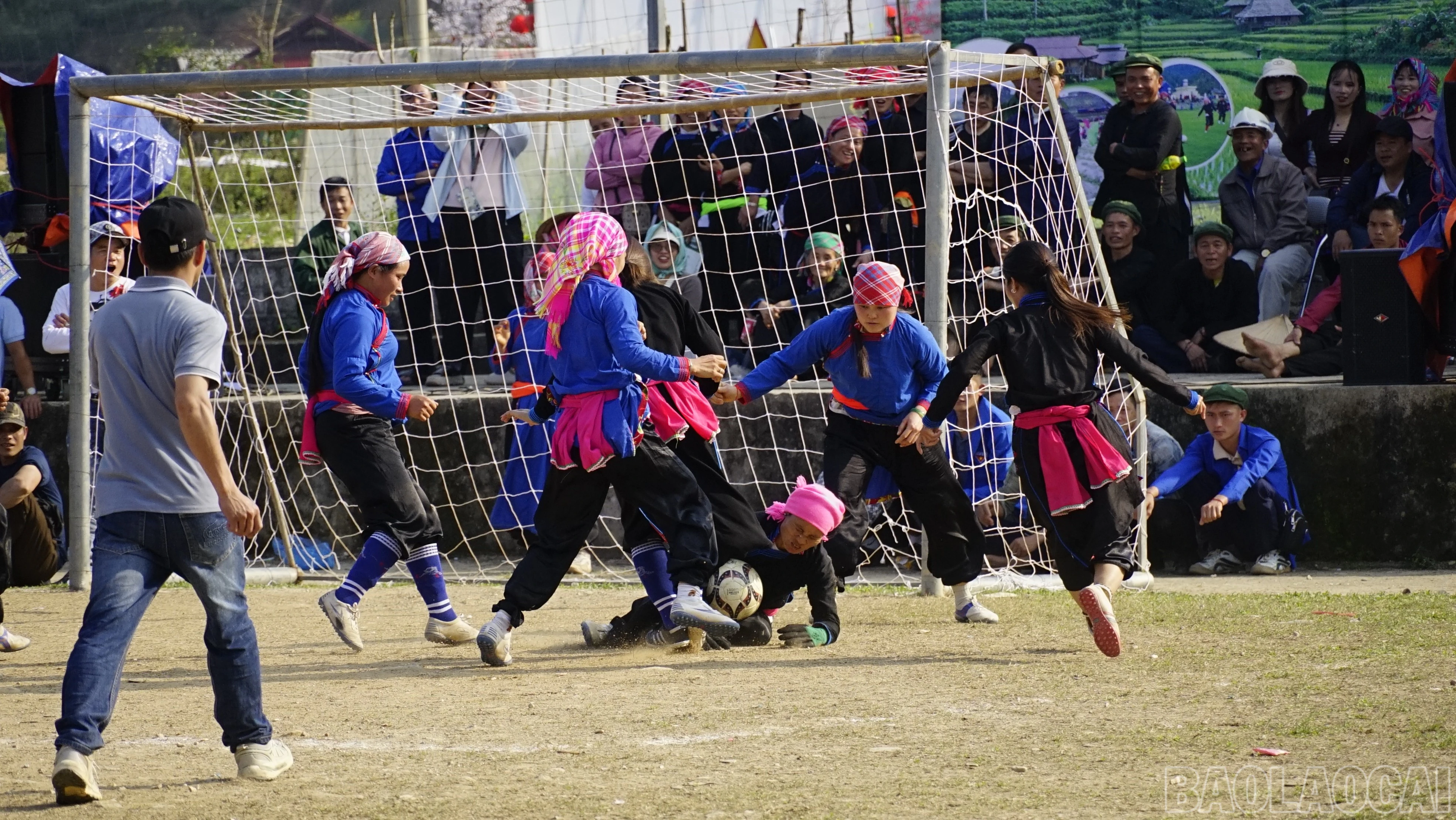 baolaocai-br_dsc6609.jpg