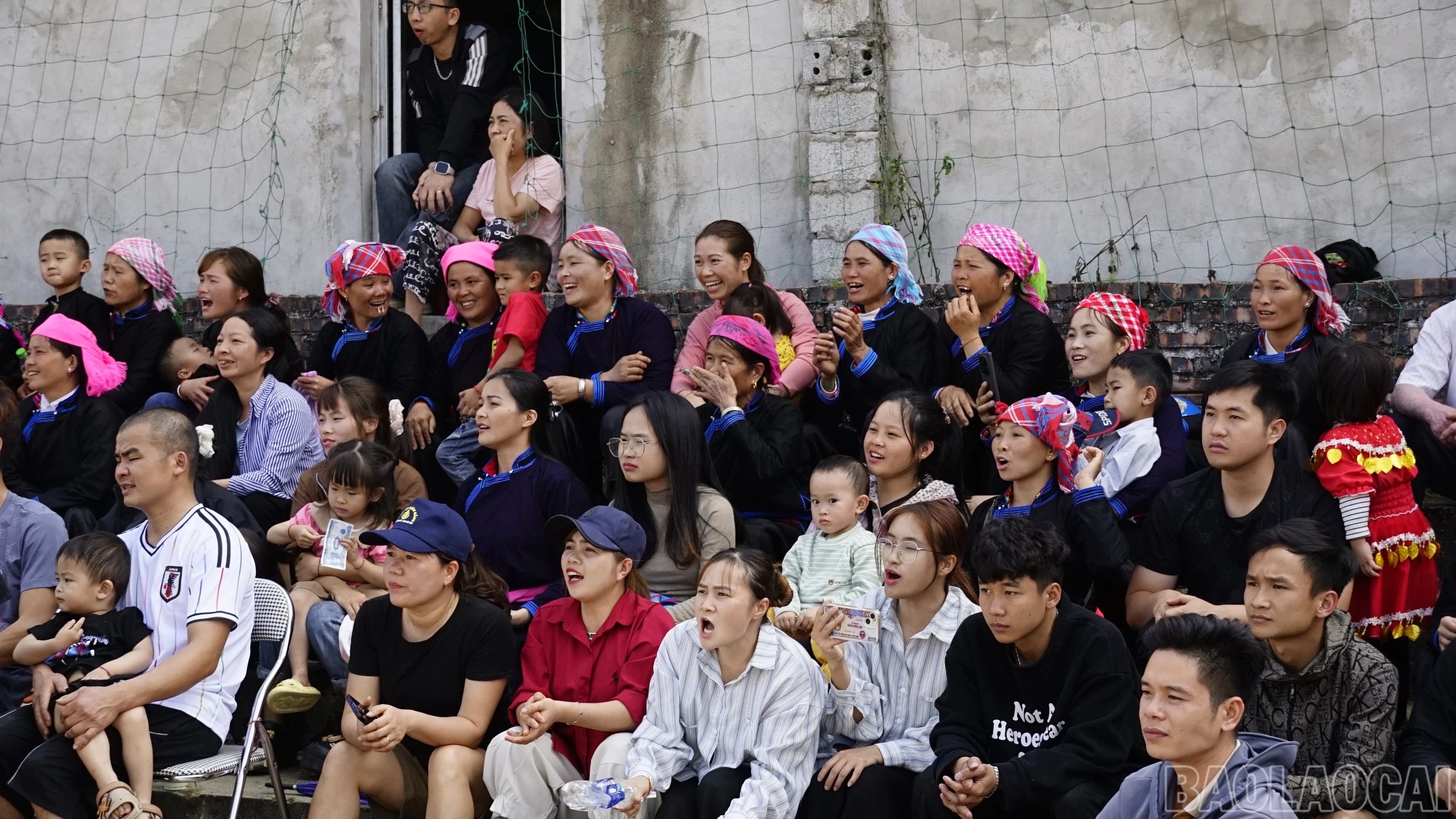 baolaocai-br_dsc6590.jpg