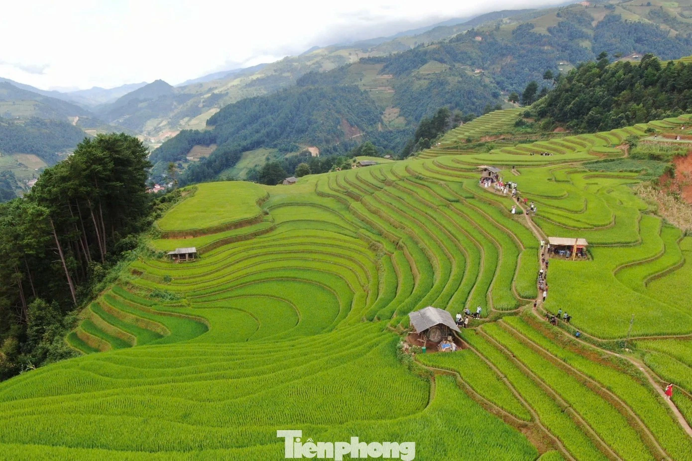 Dịp này diễn ra Giải chạy Mù Cang Chải Ultra Trail 2026, quy tụ hàng nghìn vận động viên trong nước và quốc tế.