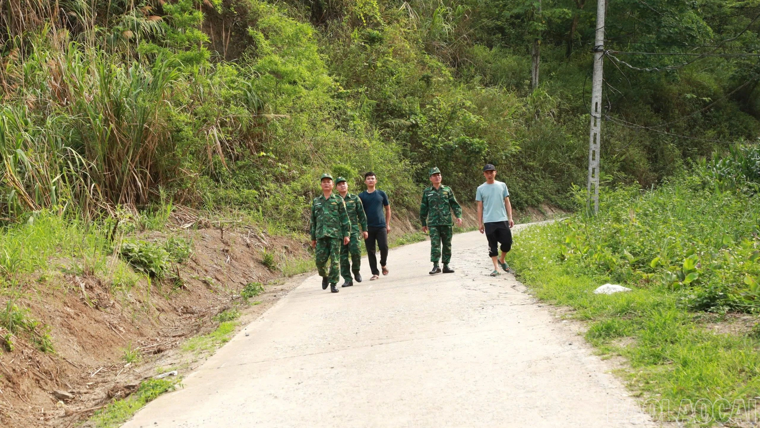 baolaocai-br_br-2222.jpg