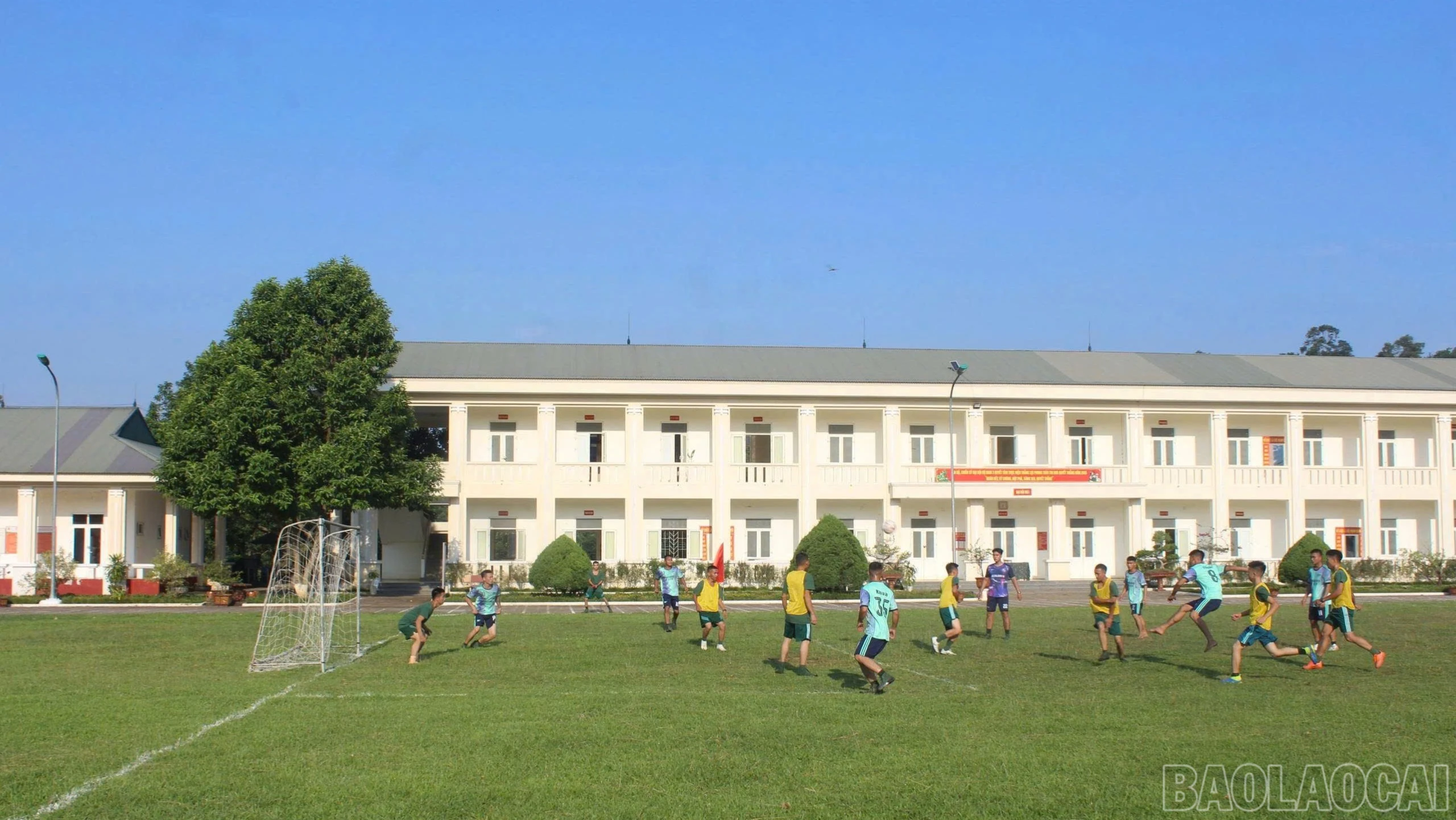 baolaocai-br_bongda-7093.jpg