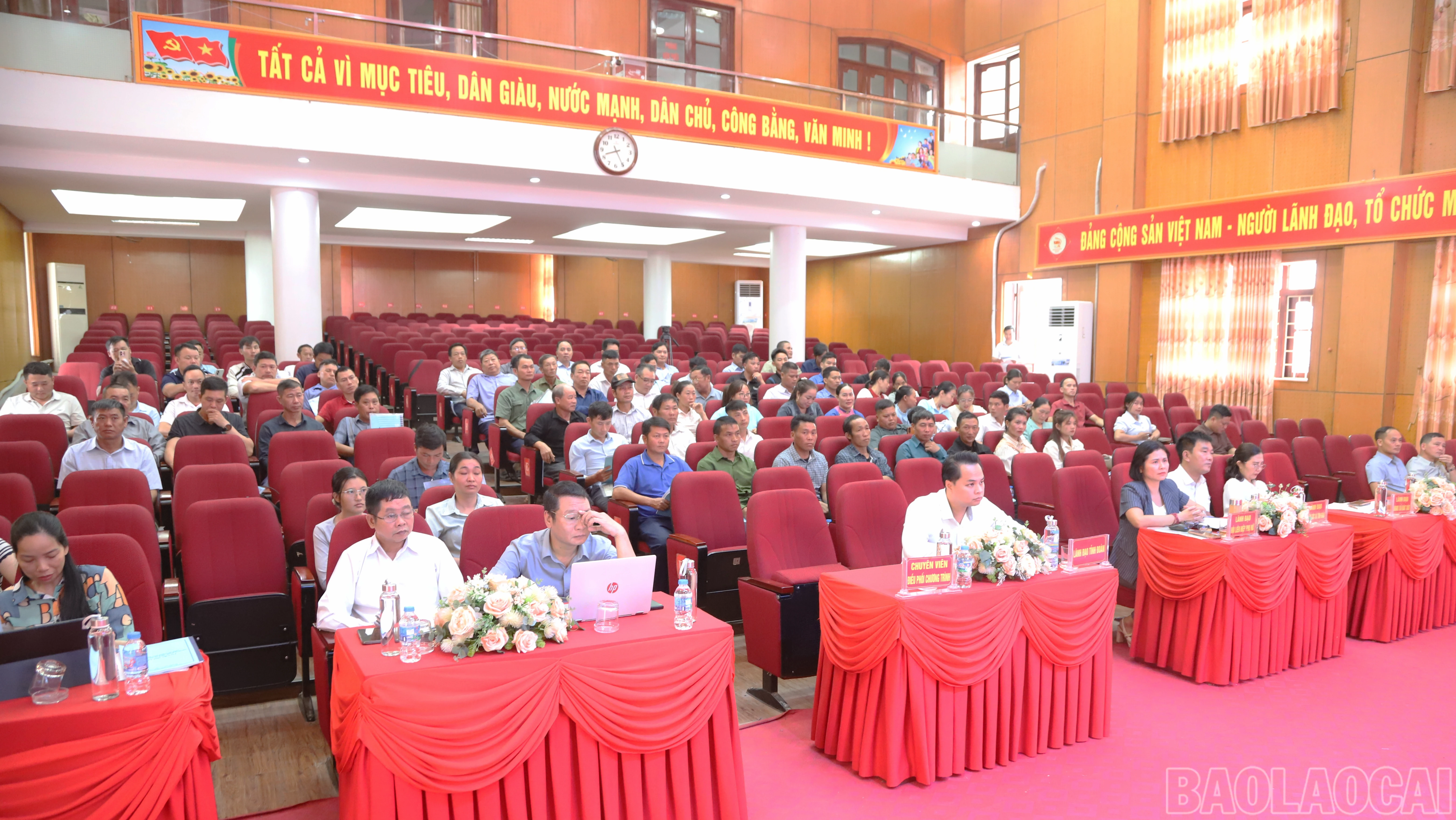 baolaocai-br_img-9651-9856.png