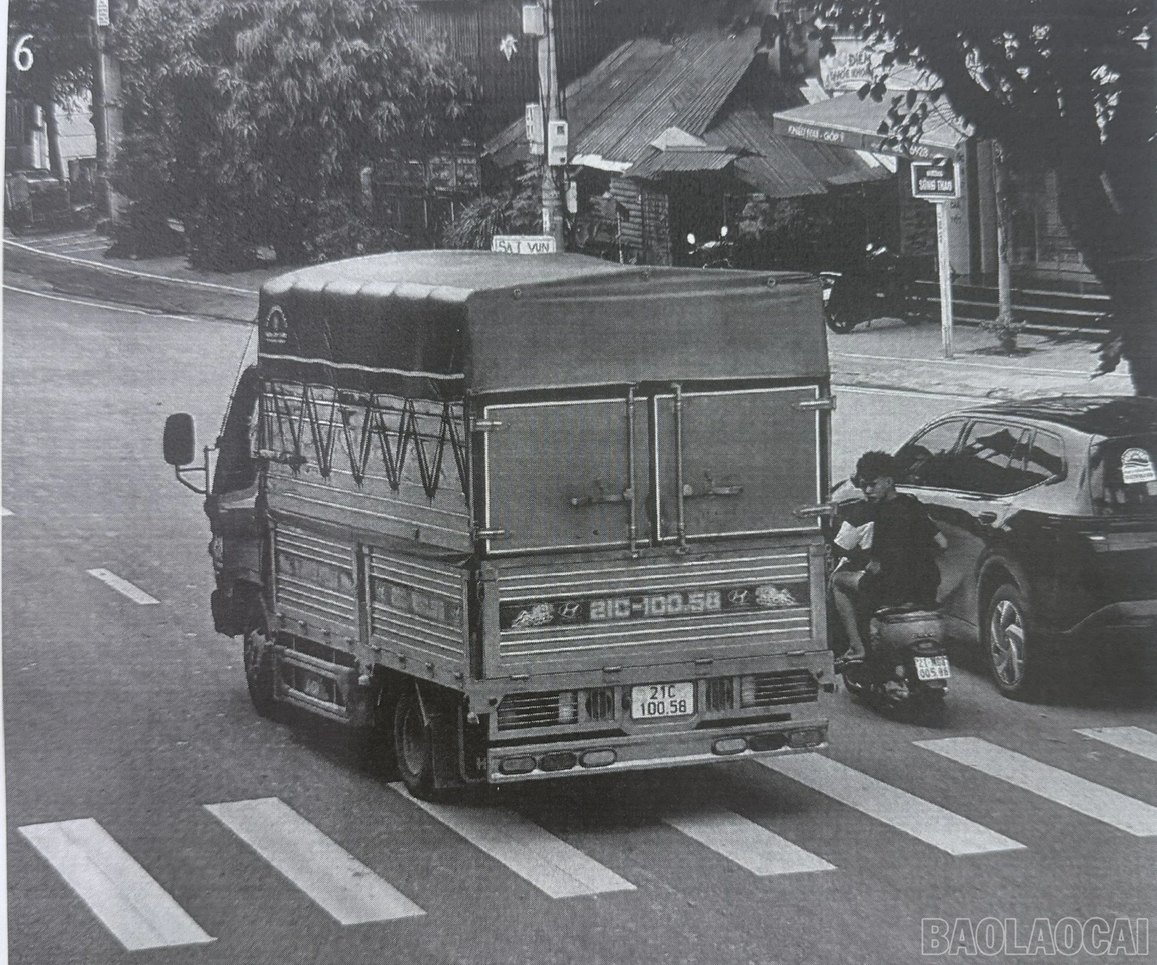 baolaocai-br-anh-1-8477.jpg