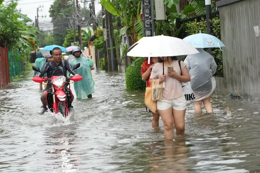 thailan2.jpg