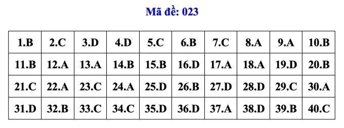 dapan023-6816.jpg