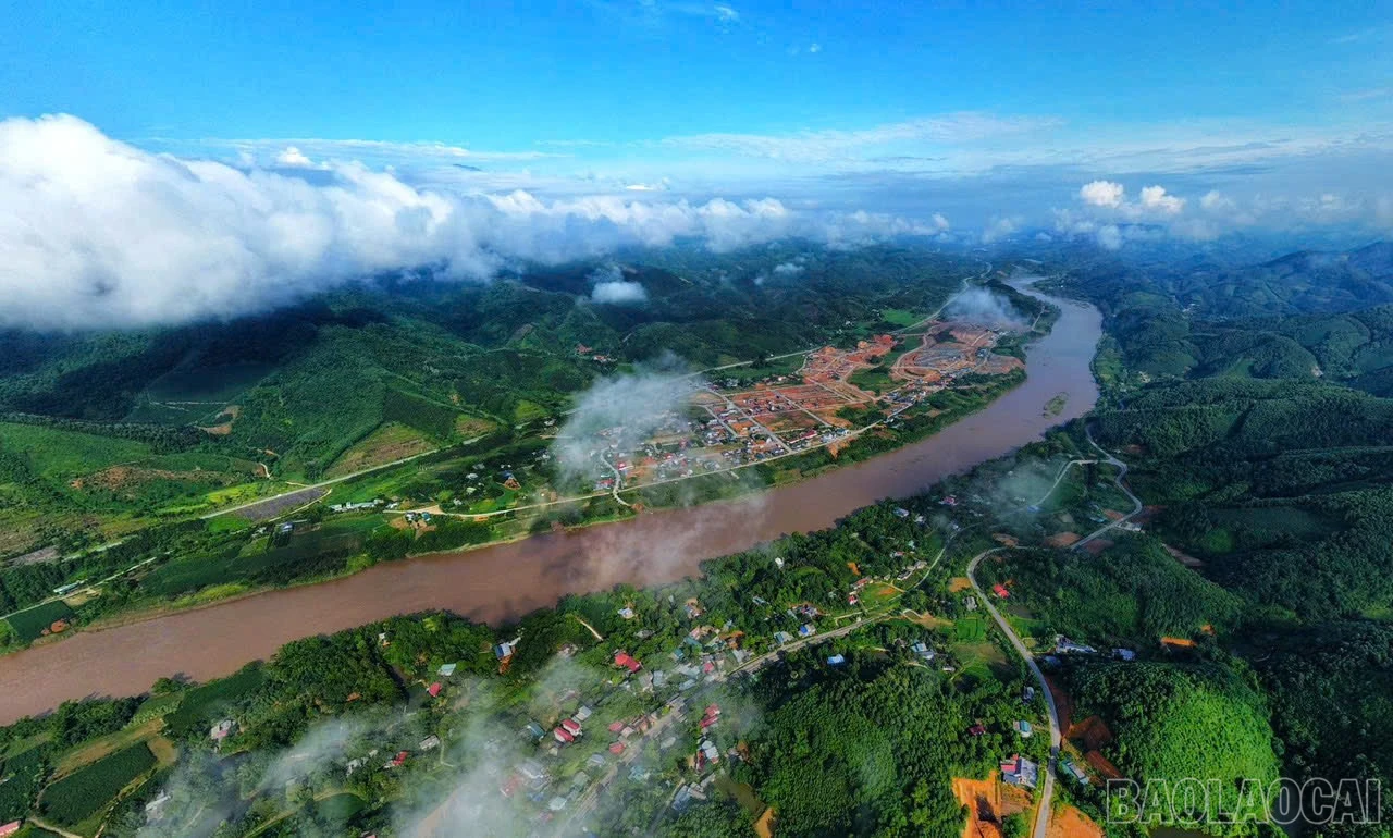 baolaocai-br_1.jpg