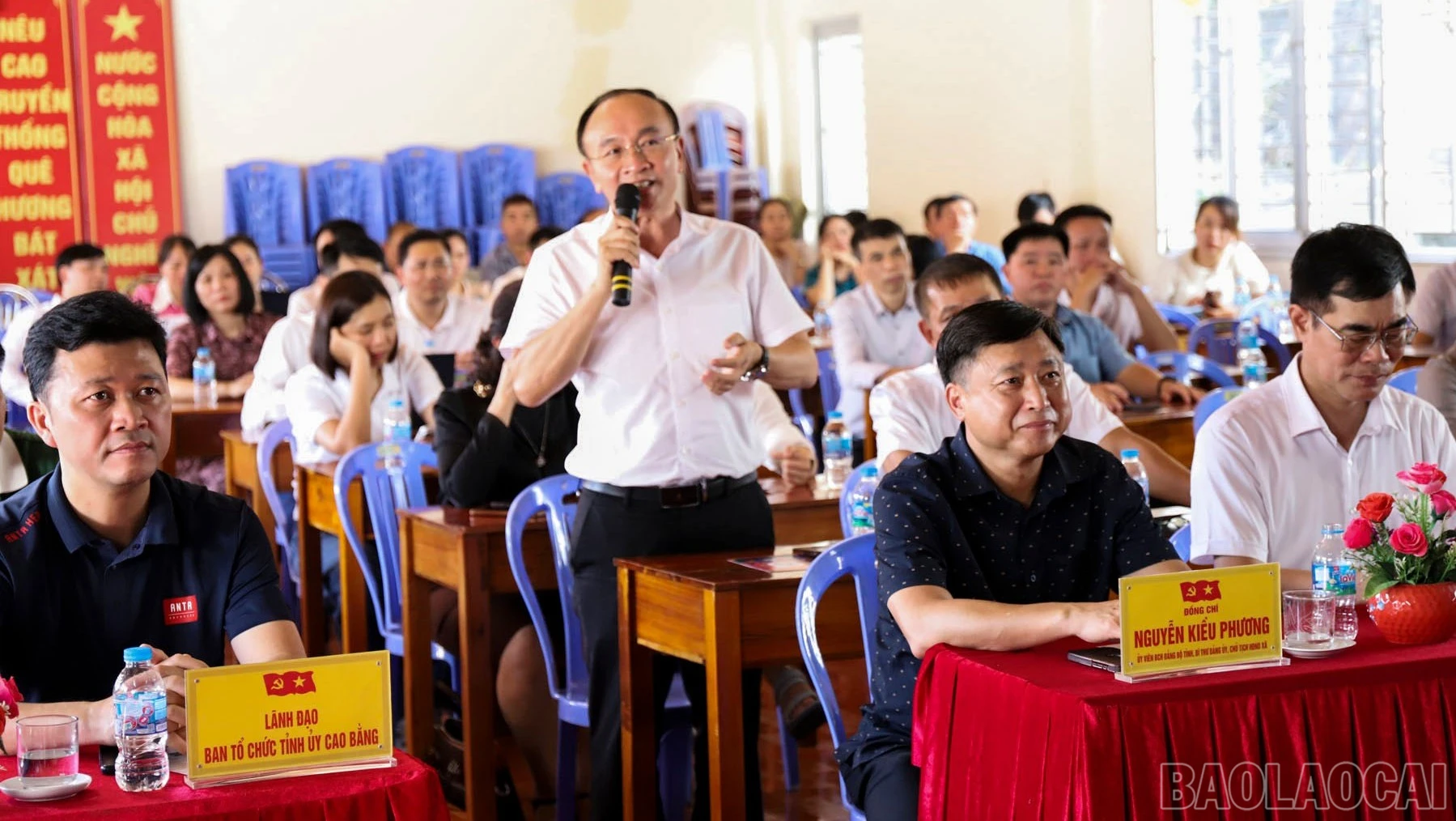 baolaocai-br_thonso-1372.jpg