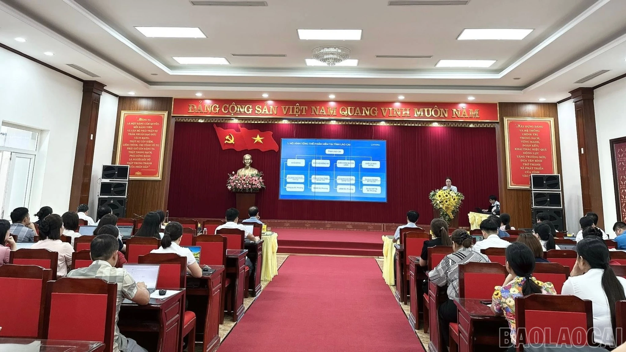 baolaocai-br_yb1-1548.jpg