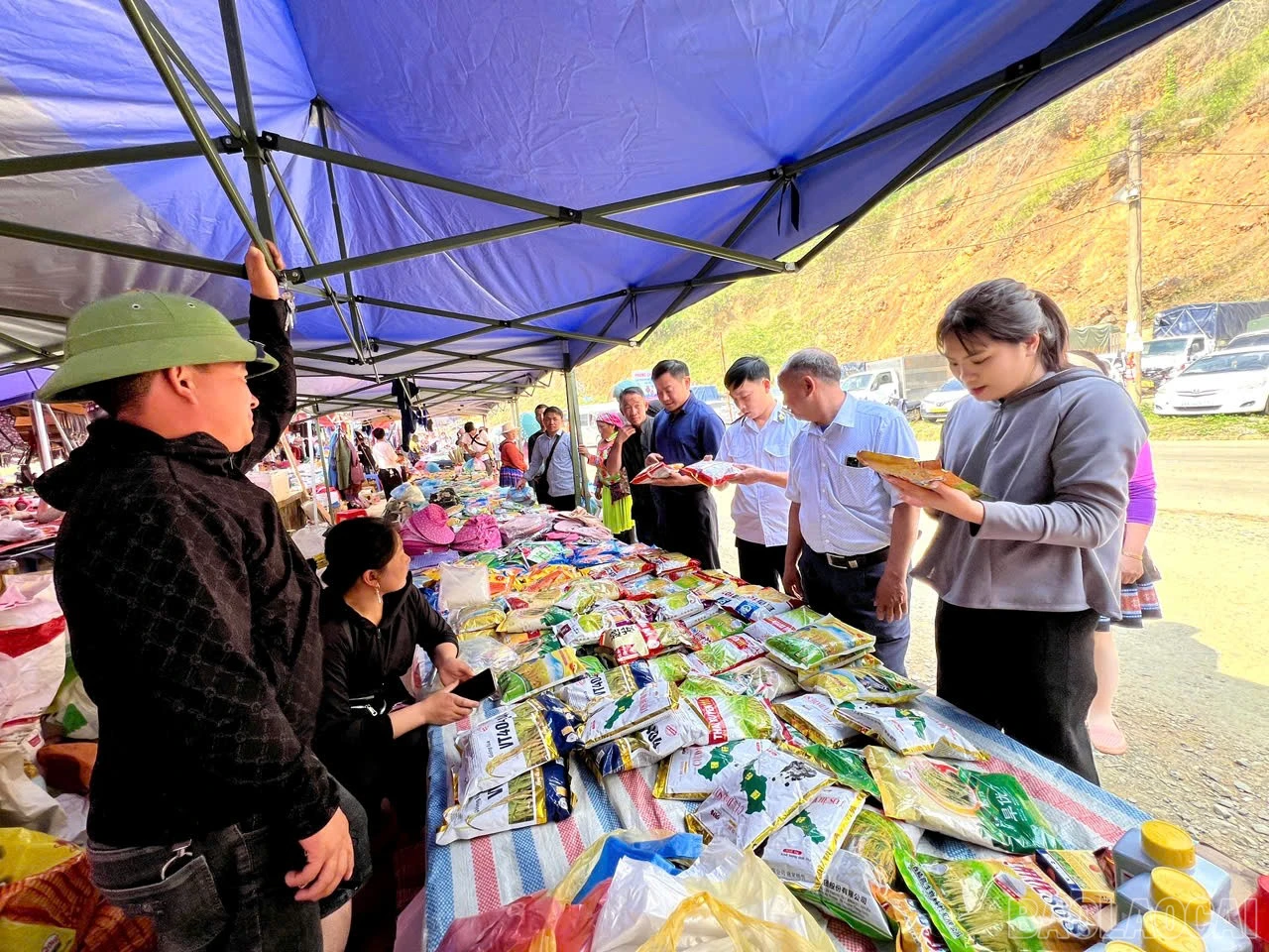 baolaocai-br_cho1-5.jpg
