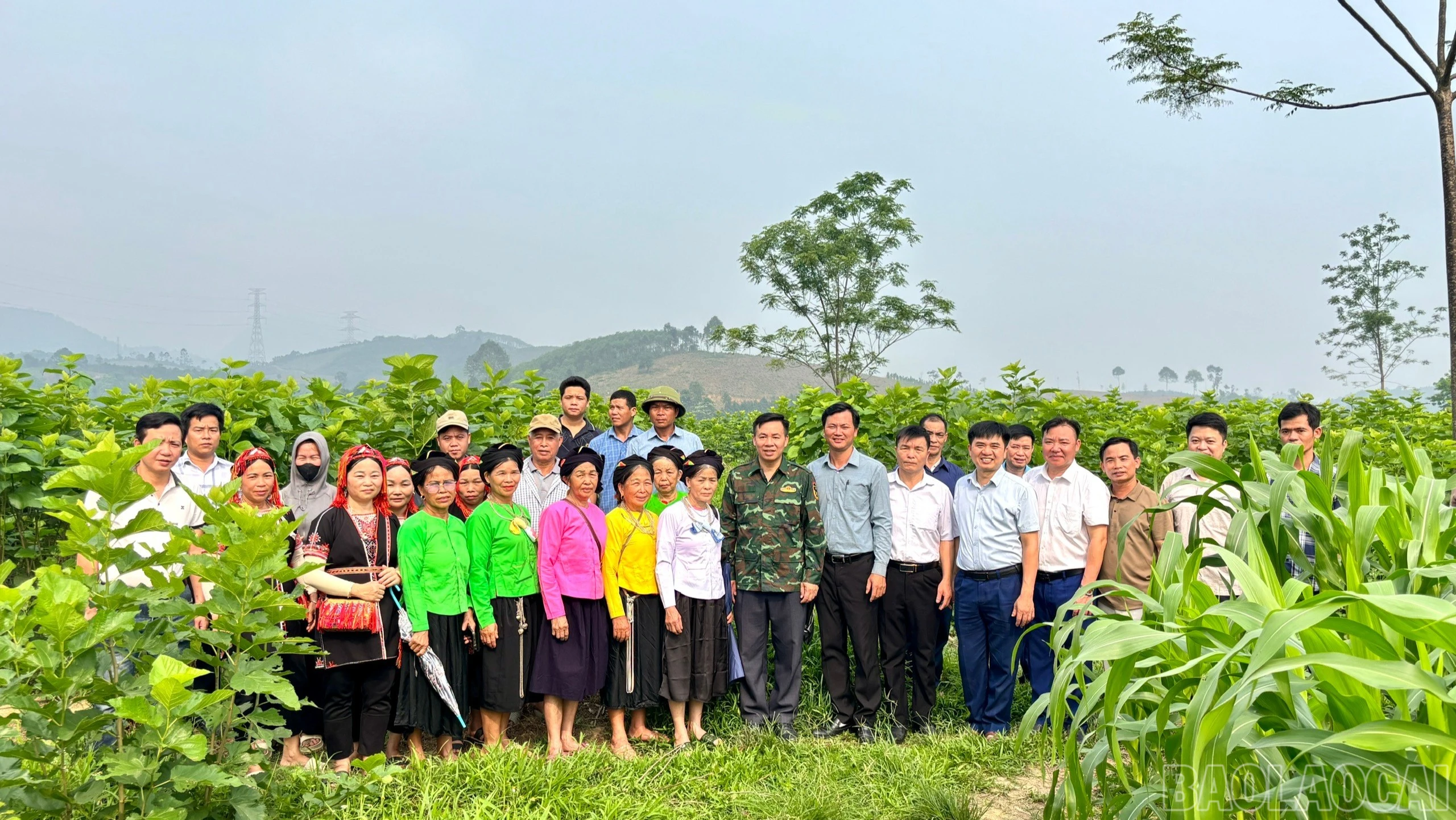 baolaocai-br_thamquan1-3276.jpg