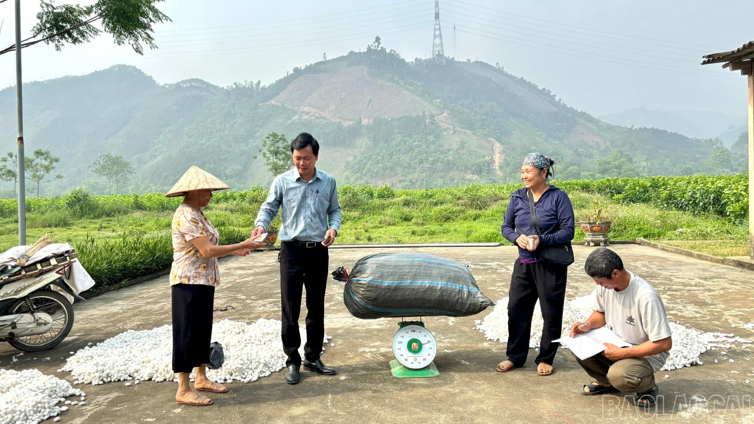 baolaocai-br_muaken-8077.jpg