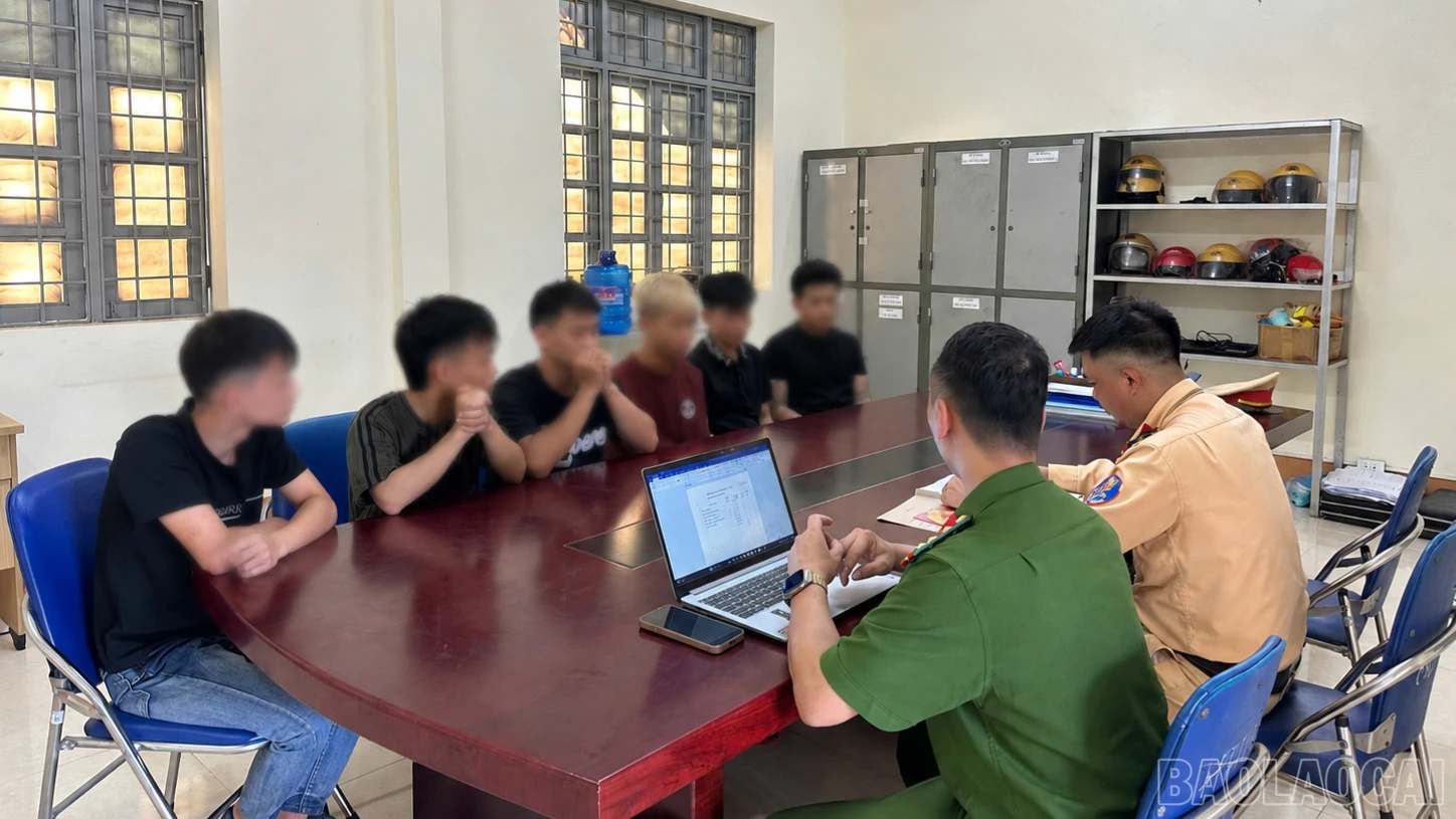 baolaocai-br_anh-2-phuckhanh-7211.png