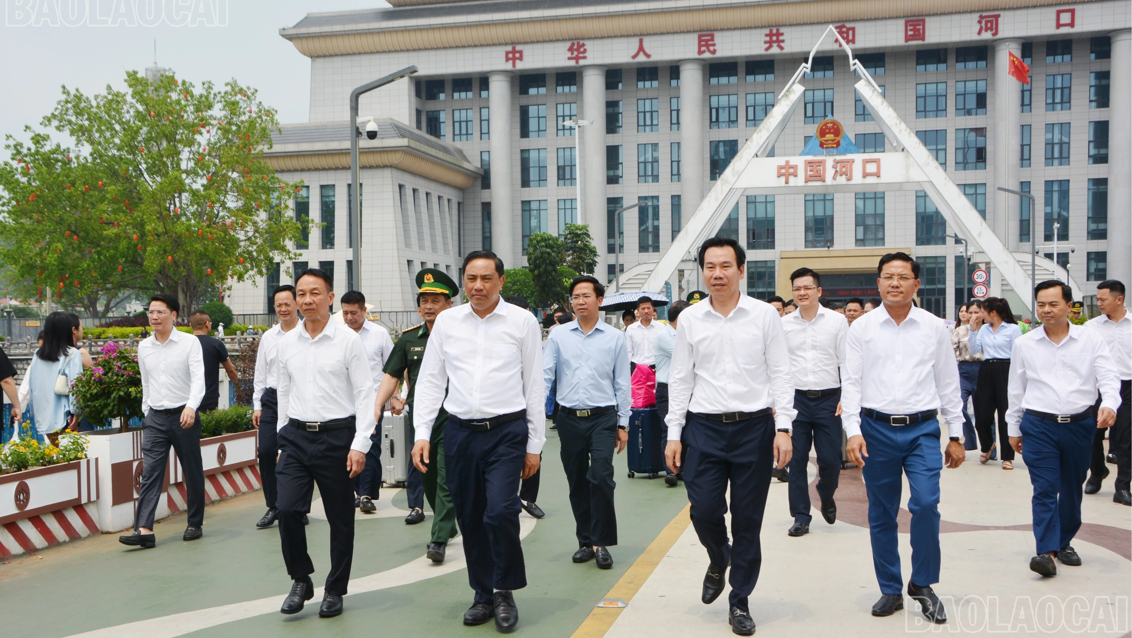 baolaocai-br_tl-dsc-2577.jpg