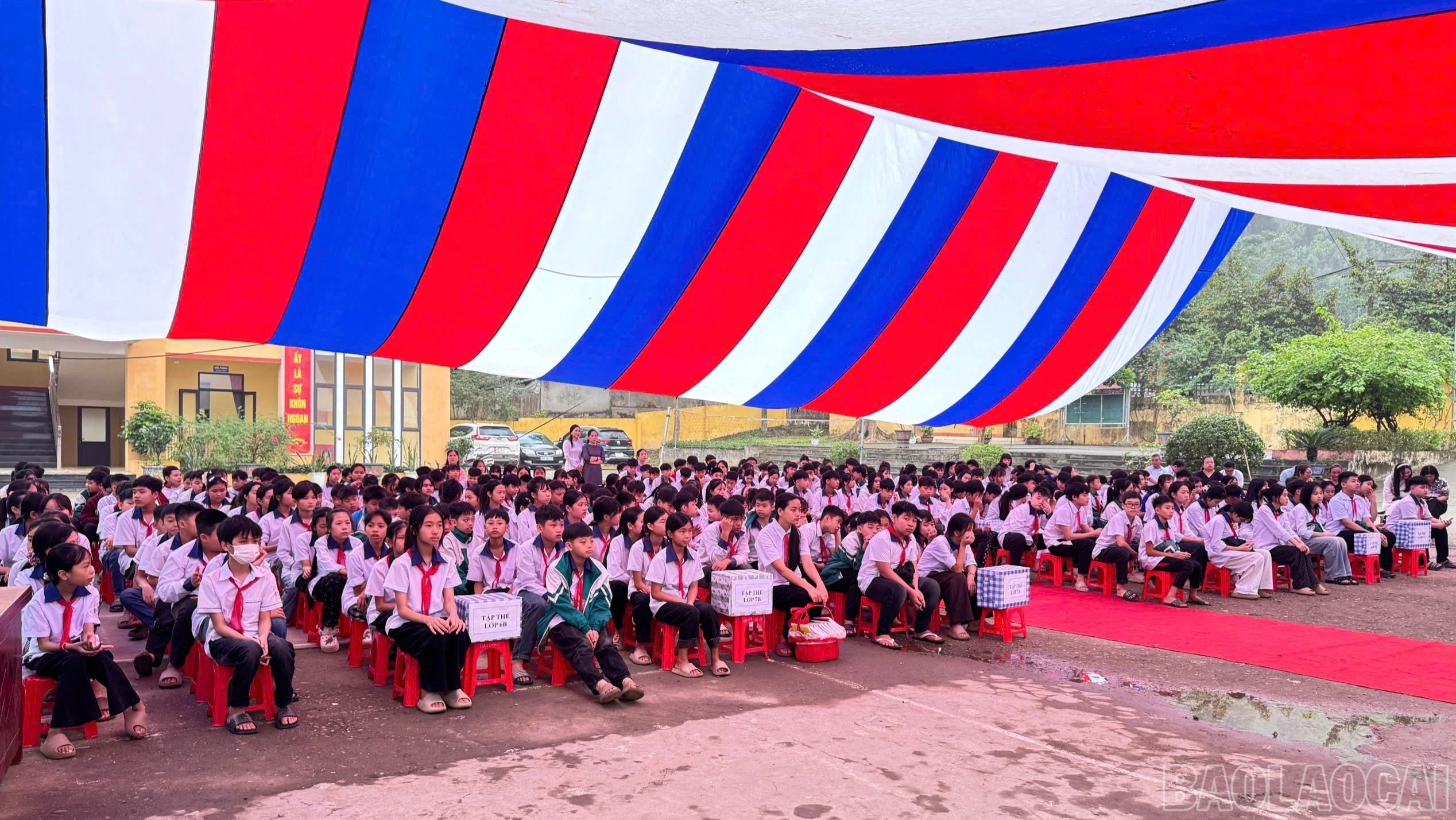 baolaocai-br_br-z7746937210184-ac5c91a828802a7cb563a5a0fe948e86.jpg