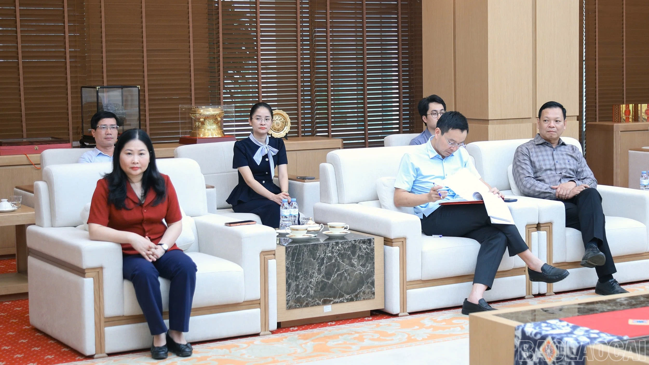 baolaocai-br_daibieu-2226.jpg